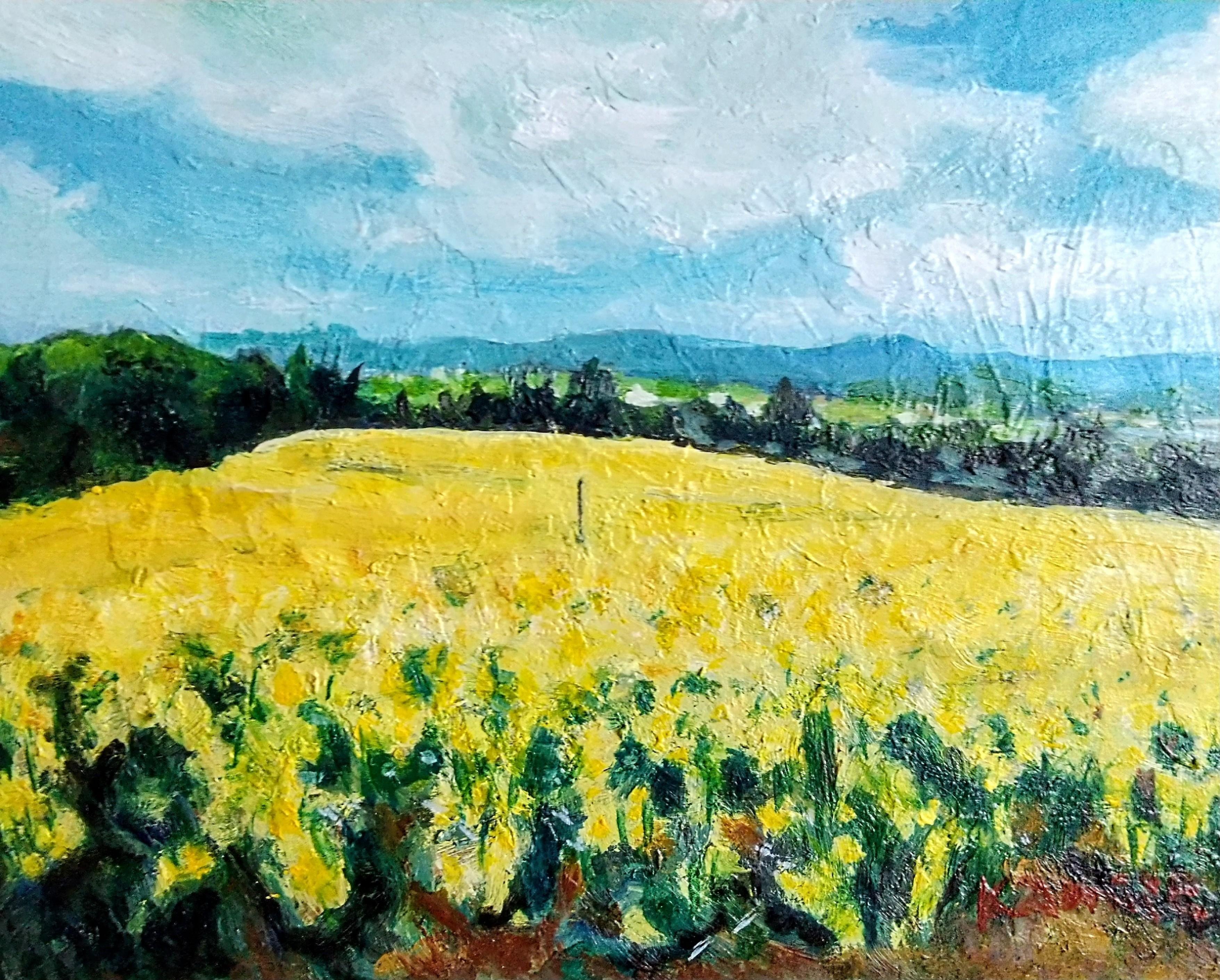 菜の花畑(滝川市)｜北海道の熊おやじ〜北海道の179市町村の歴史と観光