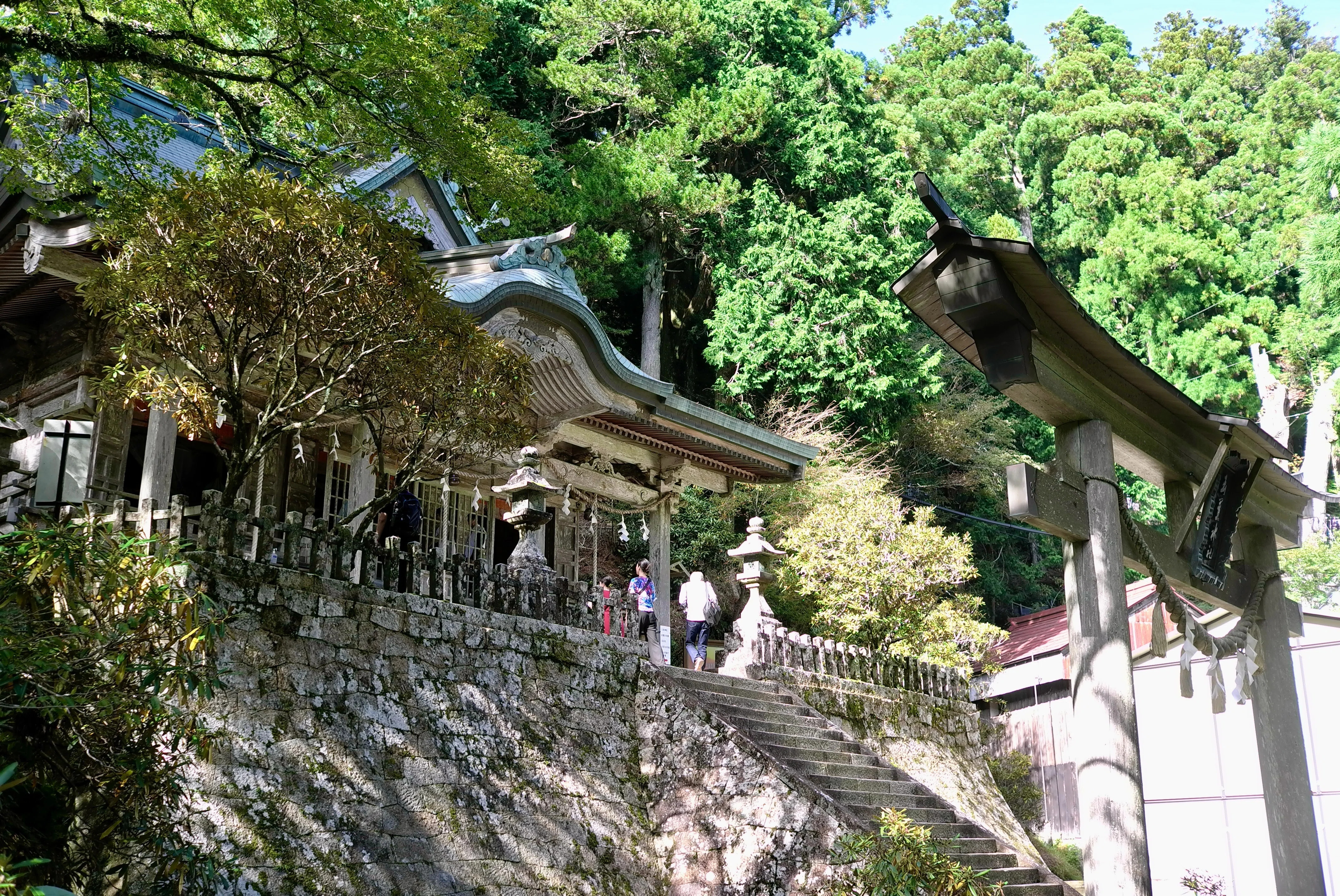 たまに短歌 2025年10月6日 玉置神社｜熊本熊