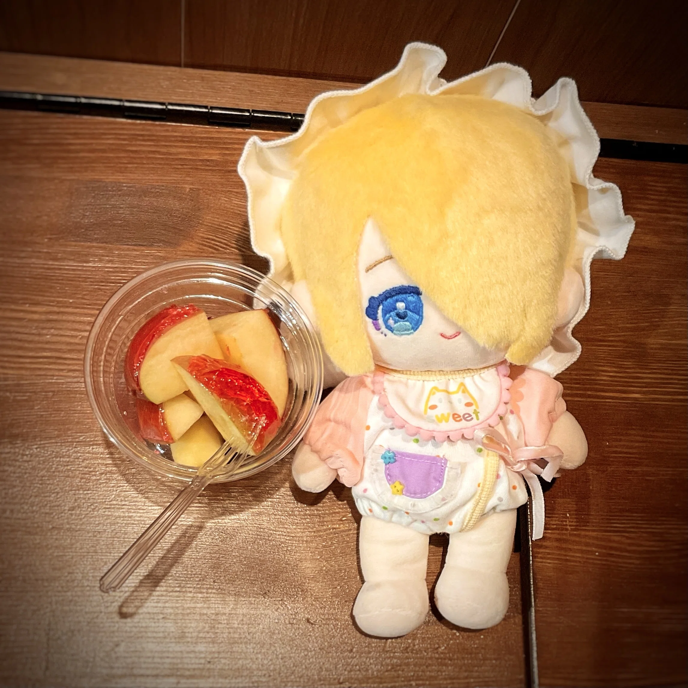お気に入りのぬい服紹介！自作ぬいのお出かけ日記①｜れぐるす