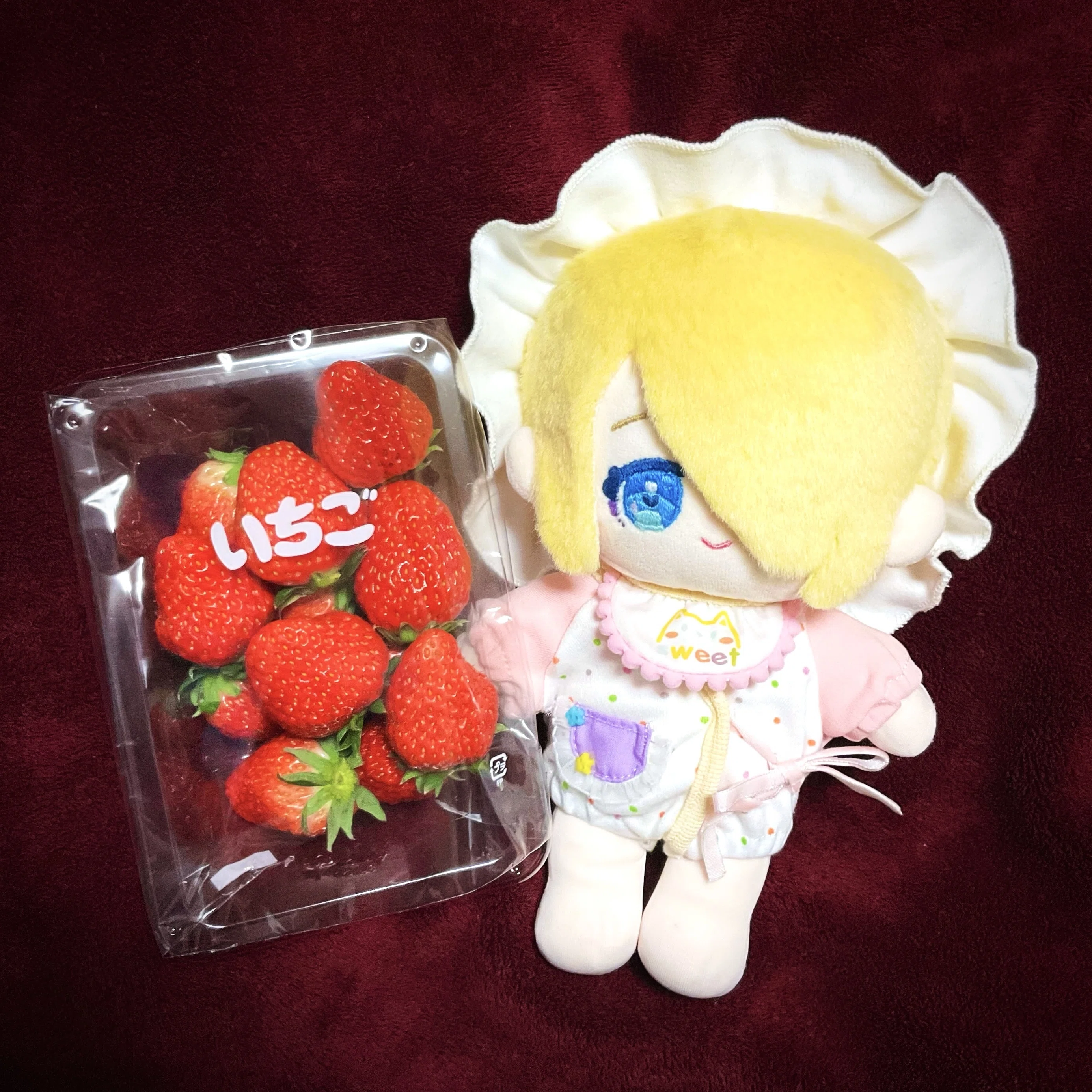 お気に入りのぬい服紹介！自作ぬいのお出かけ日記①｜れぐるす