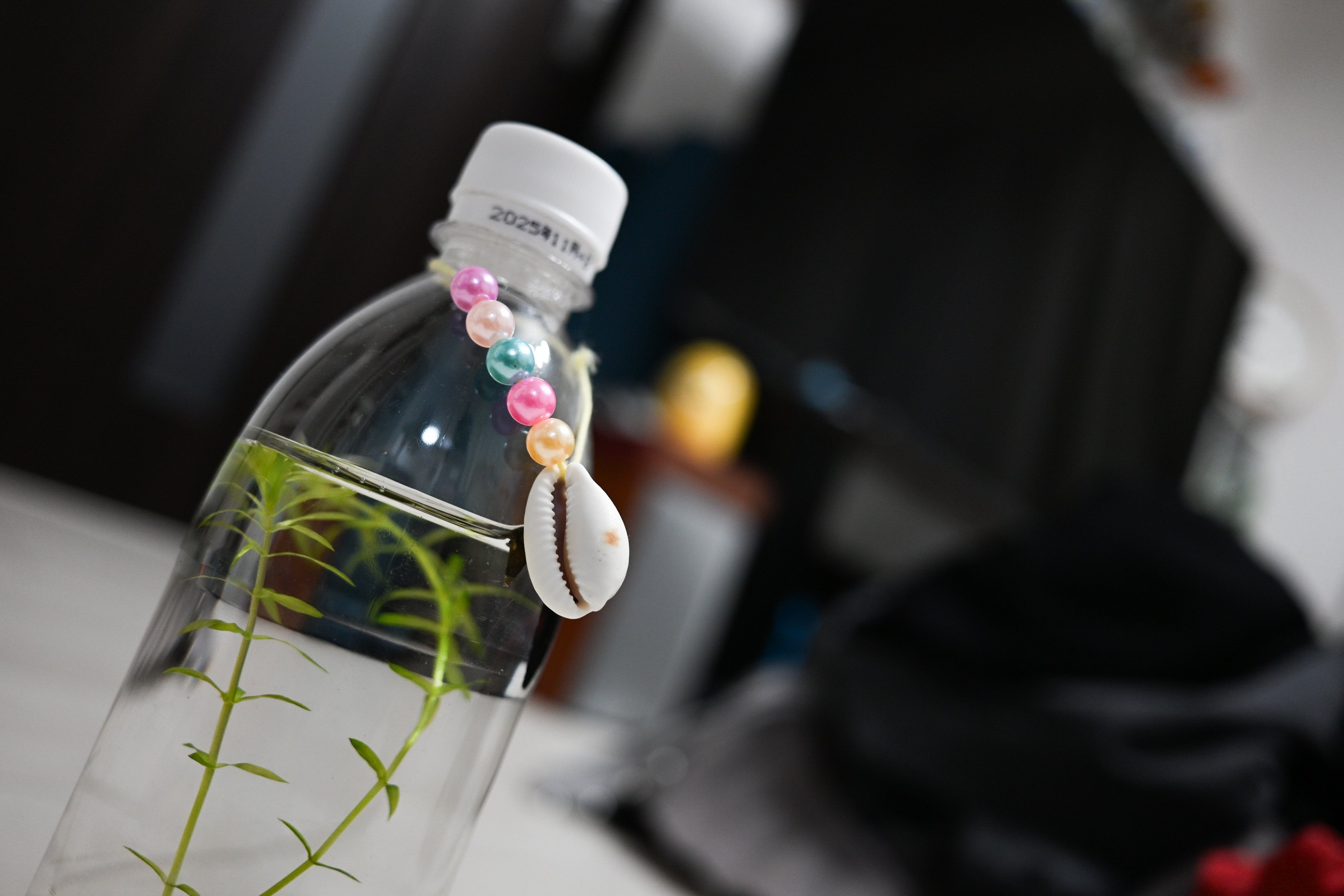 Nikon Z30を購入した話｜TOMO