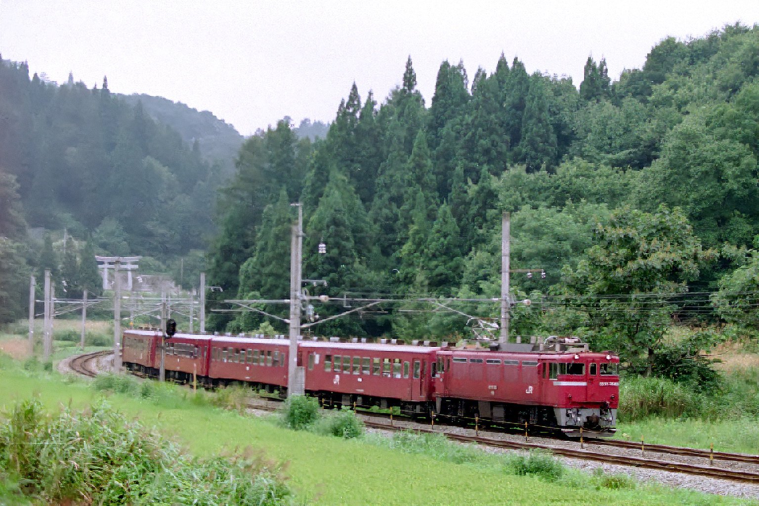 わらび苗(紀伊山地)1000本 お堀端を走る単線並列線 | 鉄道旅のガイド