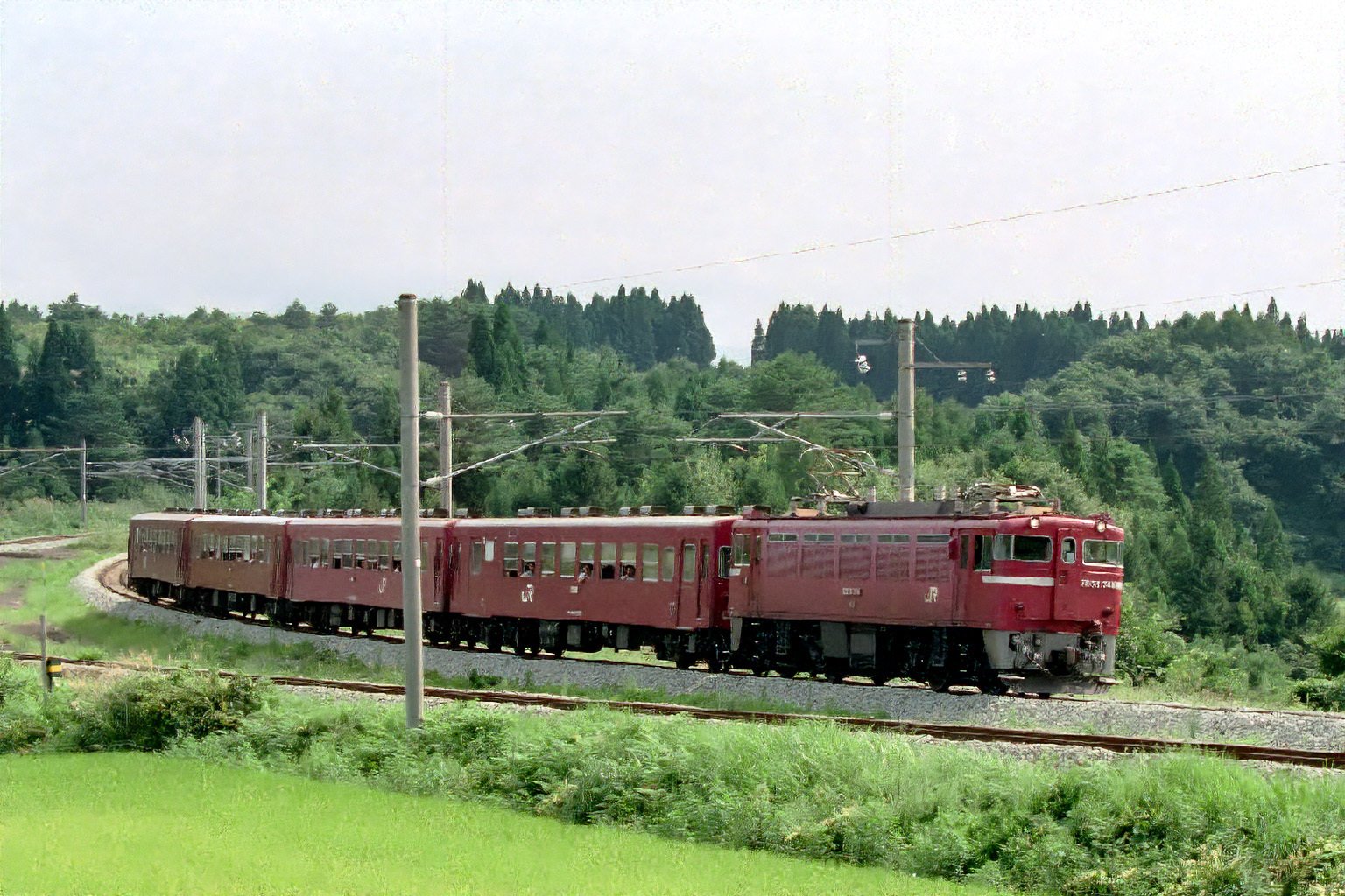 わらび苗(紀伊山地)1000本 v118, 奥羽本線：SLべにばな号＋ED75客レ （1992年）｜ひろやん