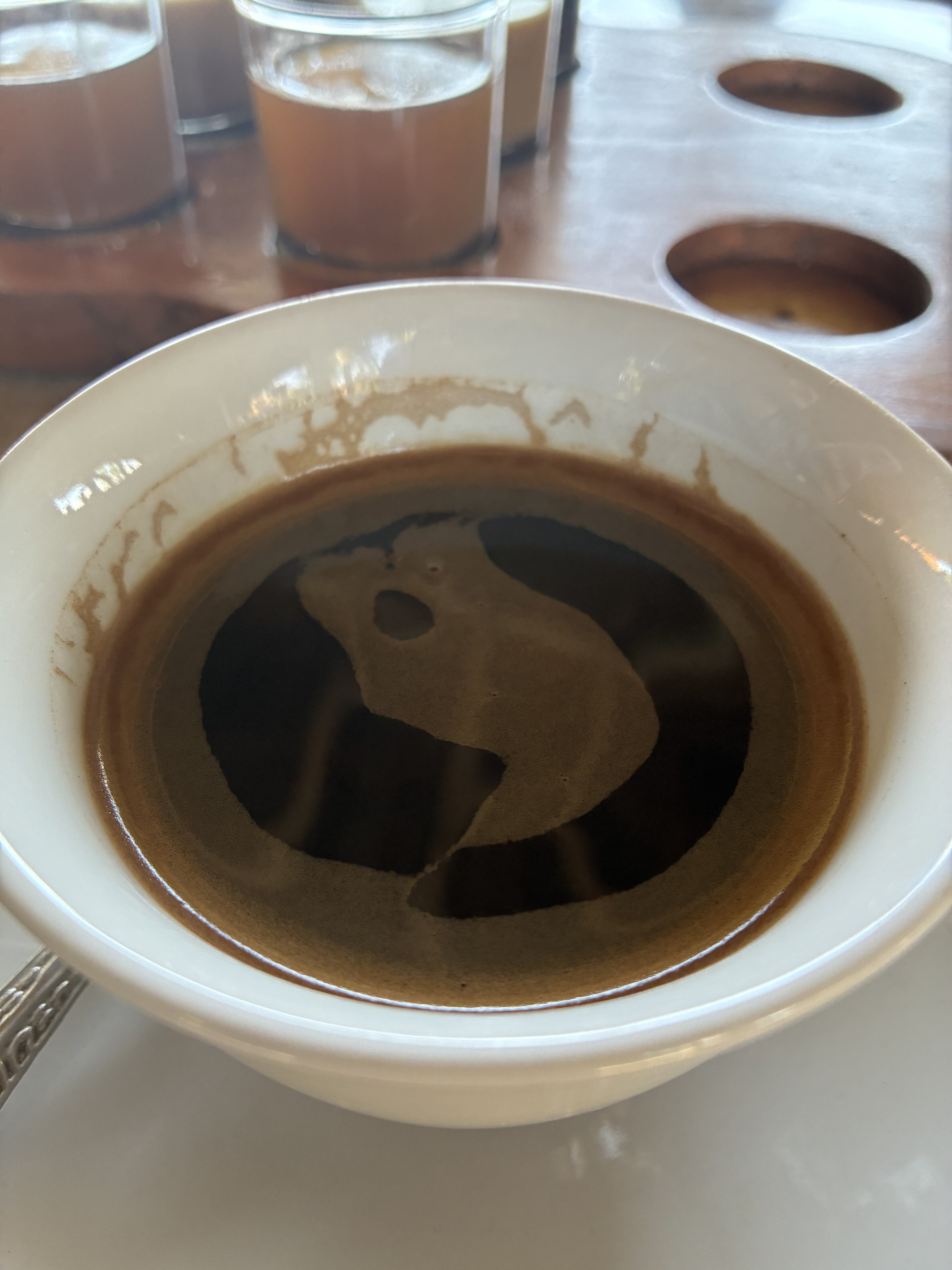 バリ島旅行記 その5：ウブドでしか味わえない！幻のジャコウネコ