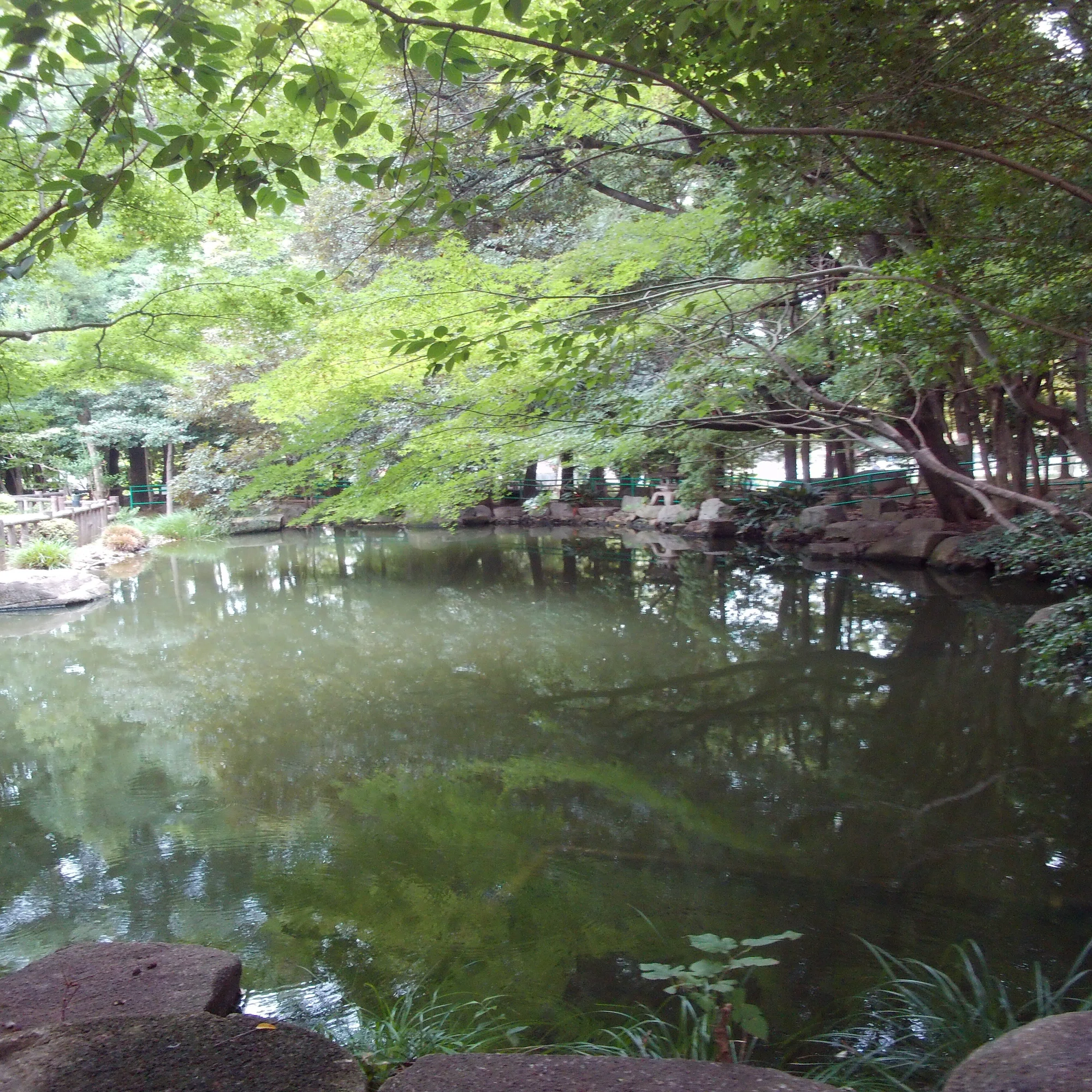 後 谷 公園