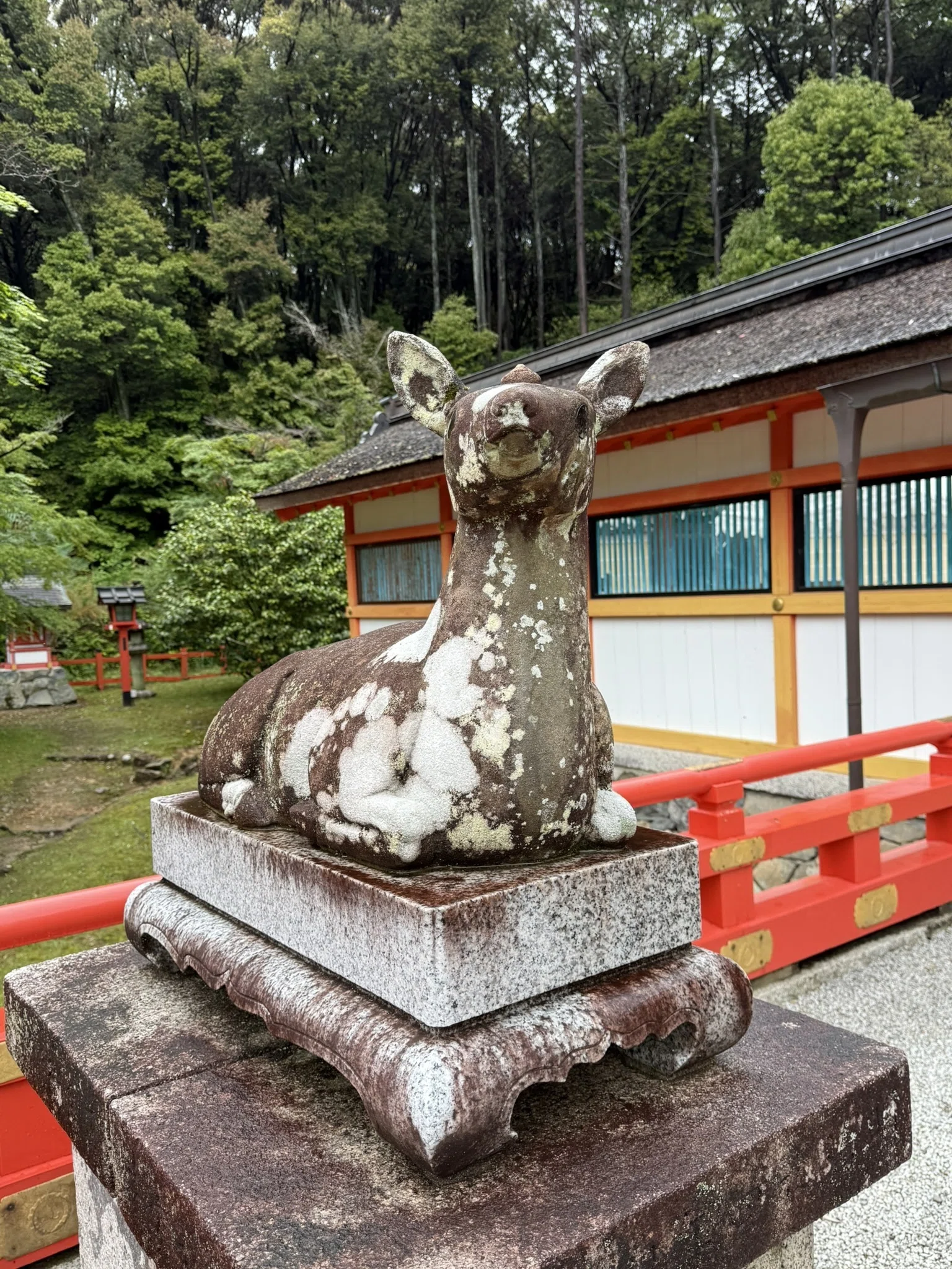 京春日・大原野神社｜春日信仰を辿る旅の到達点｜Rico｜神仏巡礼結び