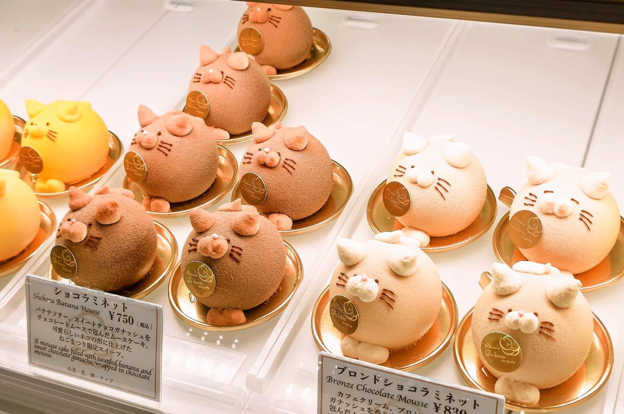 キュートな猫に一目惚れ！パティスリーの本格ケーキにうっとり【ドゥ