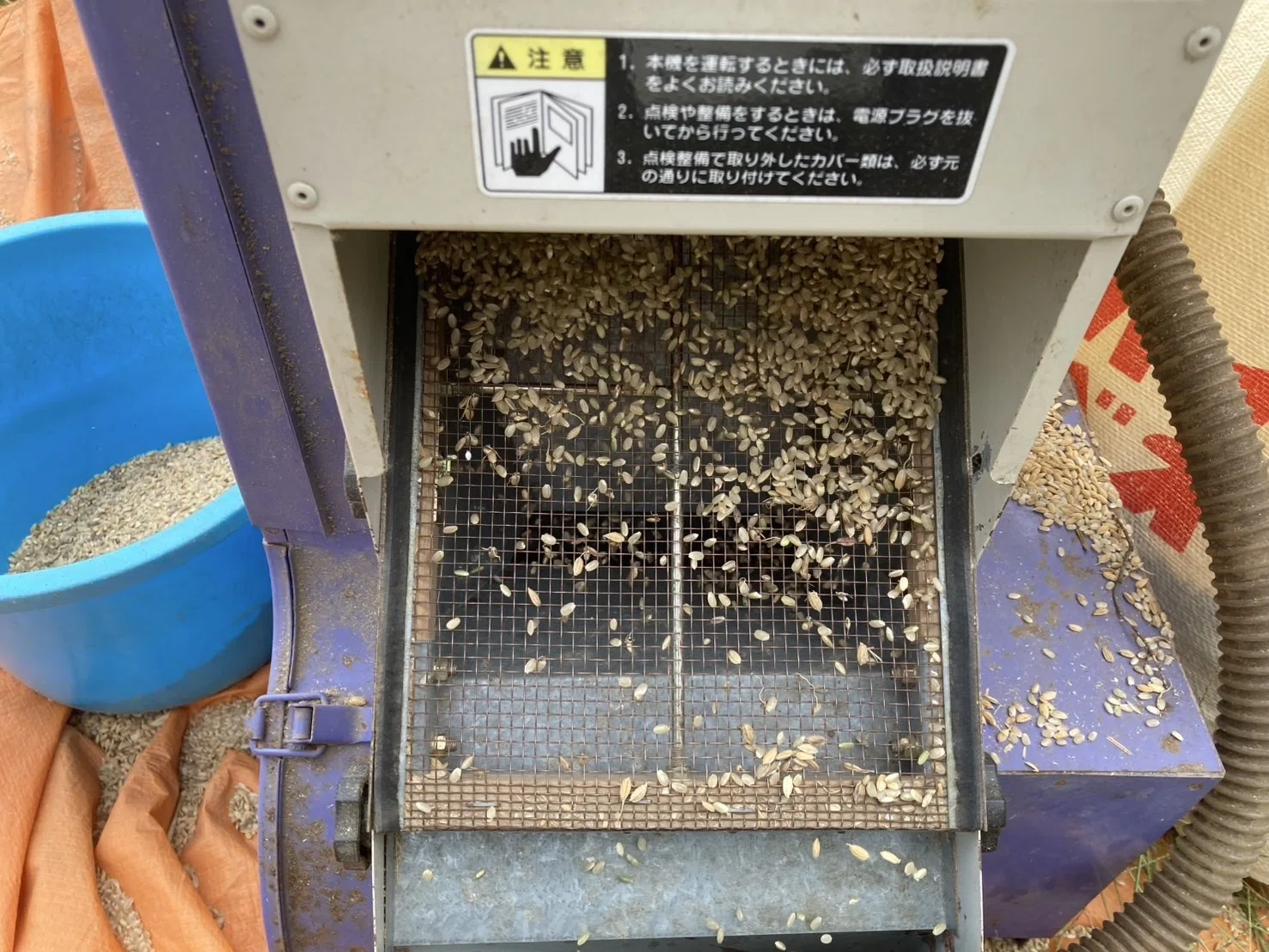 🌾もろやま創成舎農業部🌾脱穀（だっこく）・籾摺り（もみすり）をしま