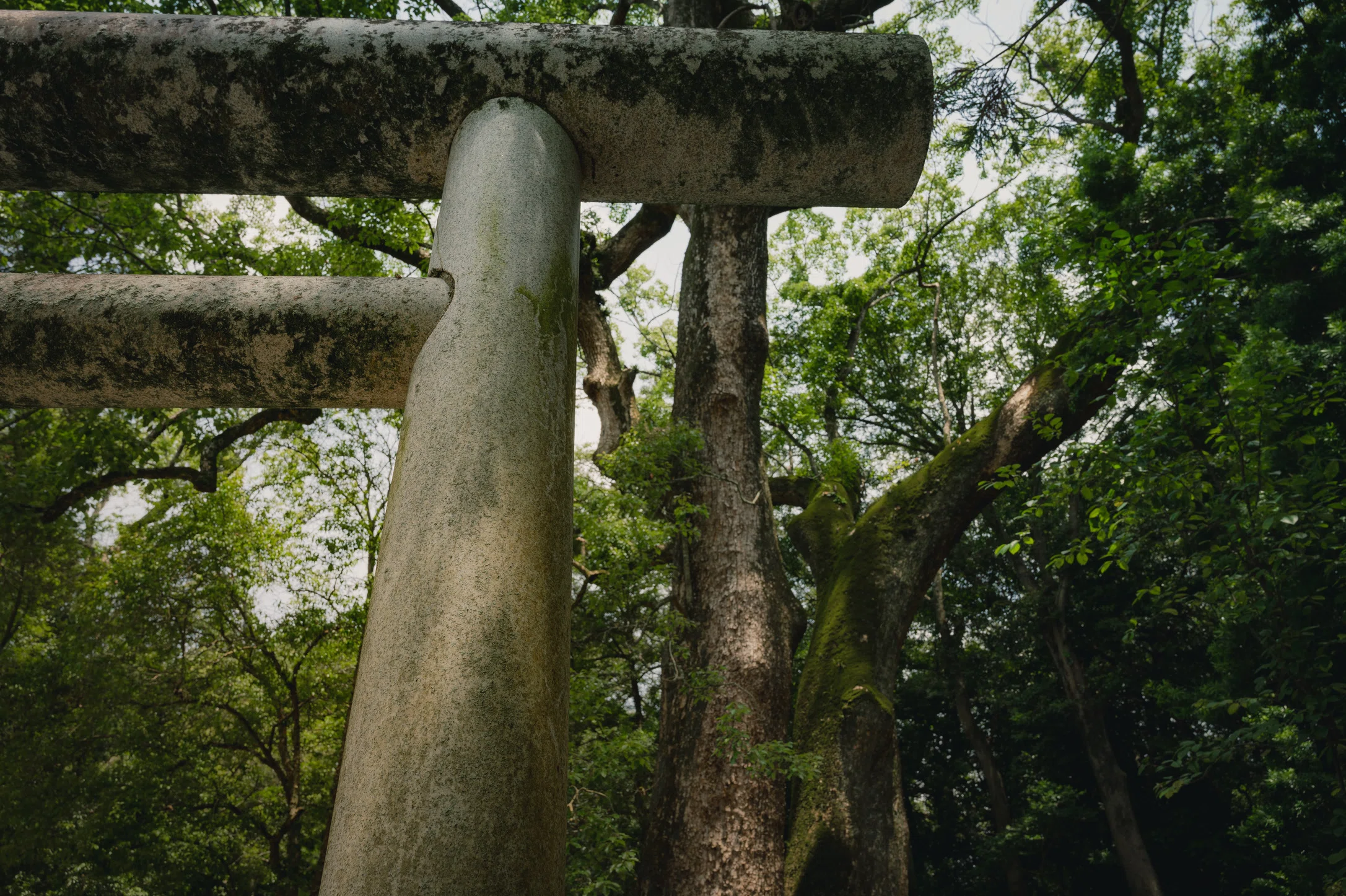 世界の9割は田舎だよ。 おそらくね。｜MASA