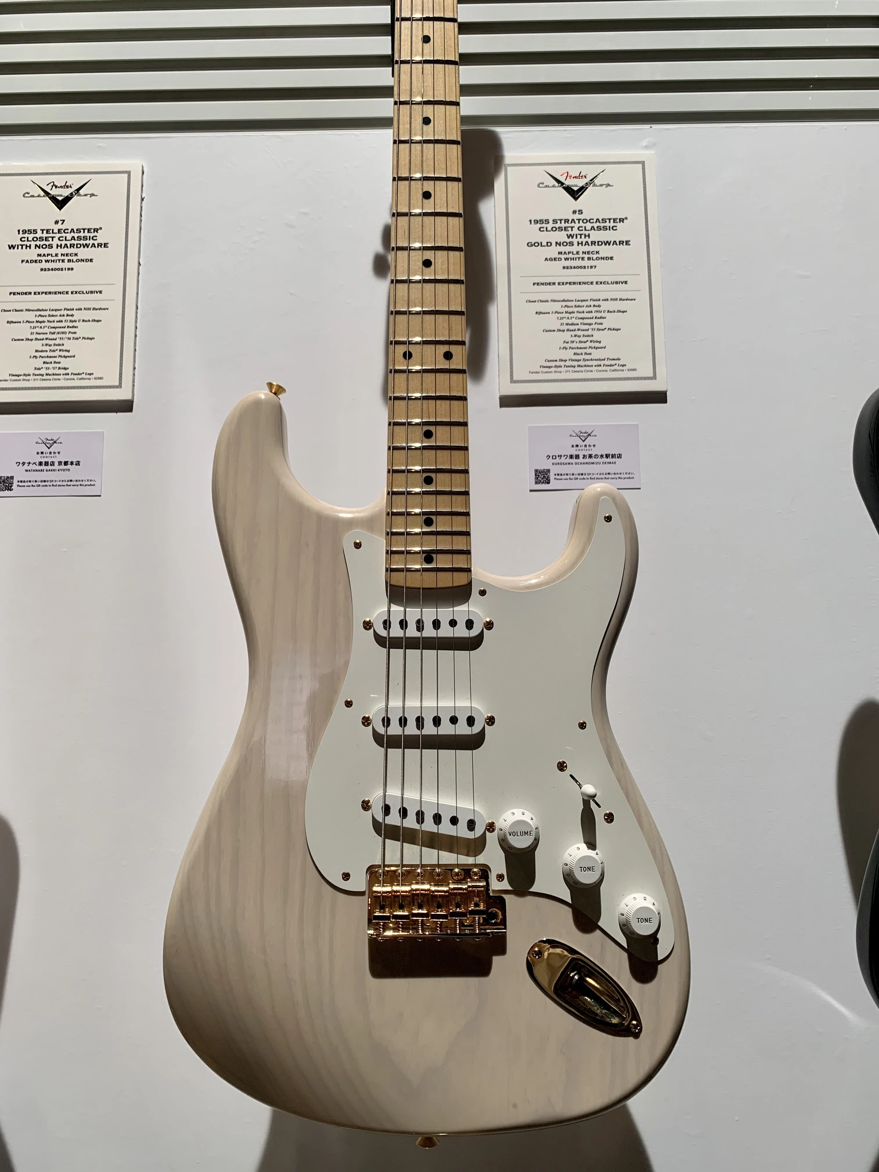 FENDER EXPERIENCE 2025①イノランに遭遇編｜Aya SEA | Tokyo, music