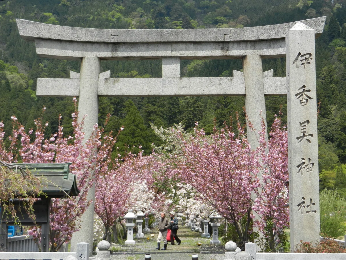 画像