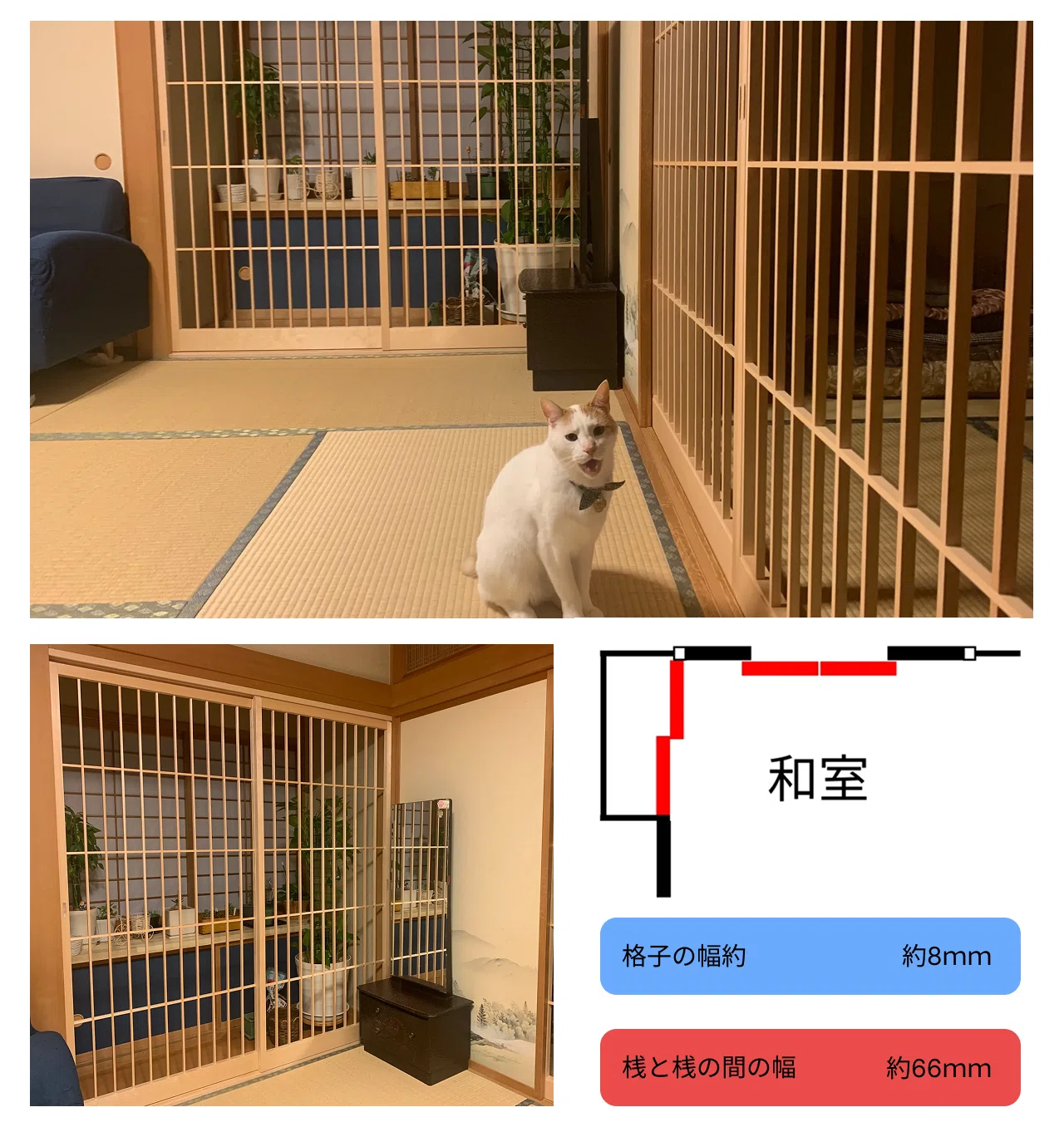 家具 猫 間 障子 猫間障子です