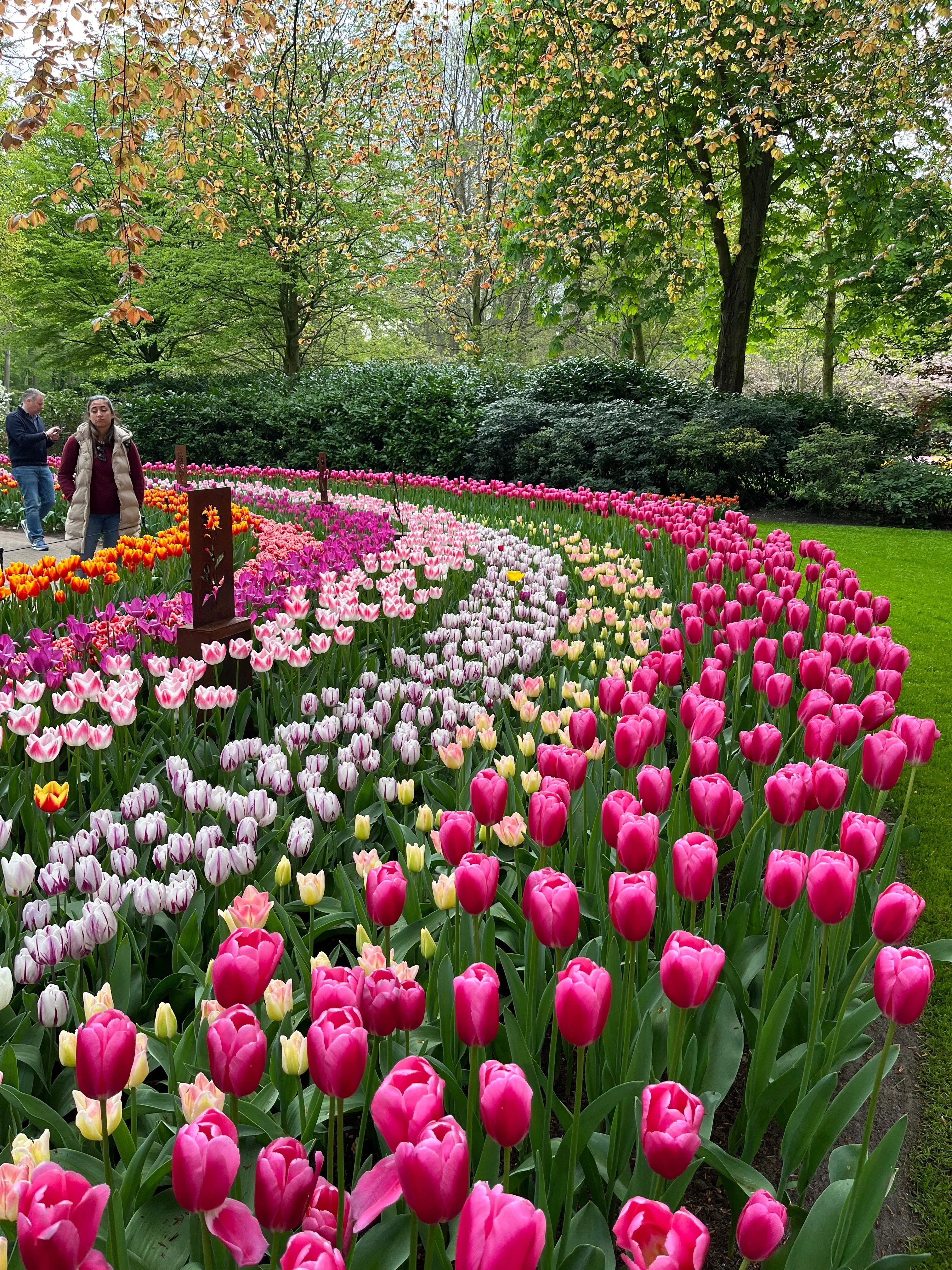 チューリップが見たい🌷🇳🇱キューケンホフ公園へ｜おとも