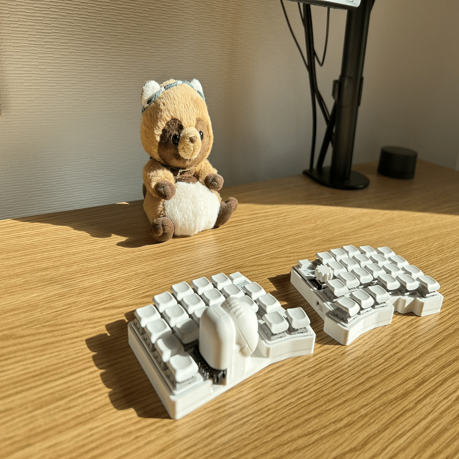 moNa開発1周年！ ～誕生・改良の全記録～｜白湯_sayu