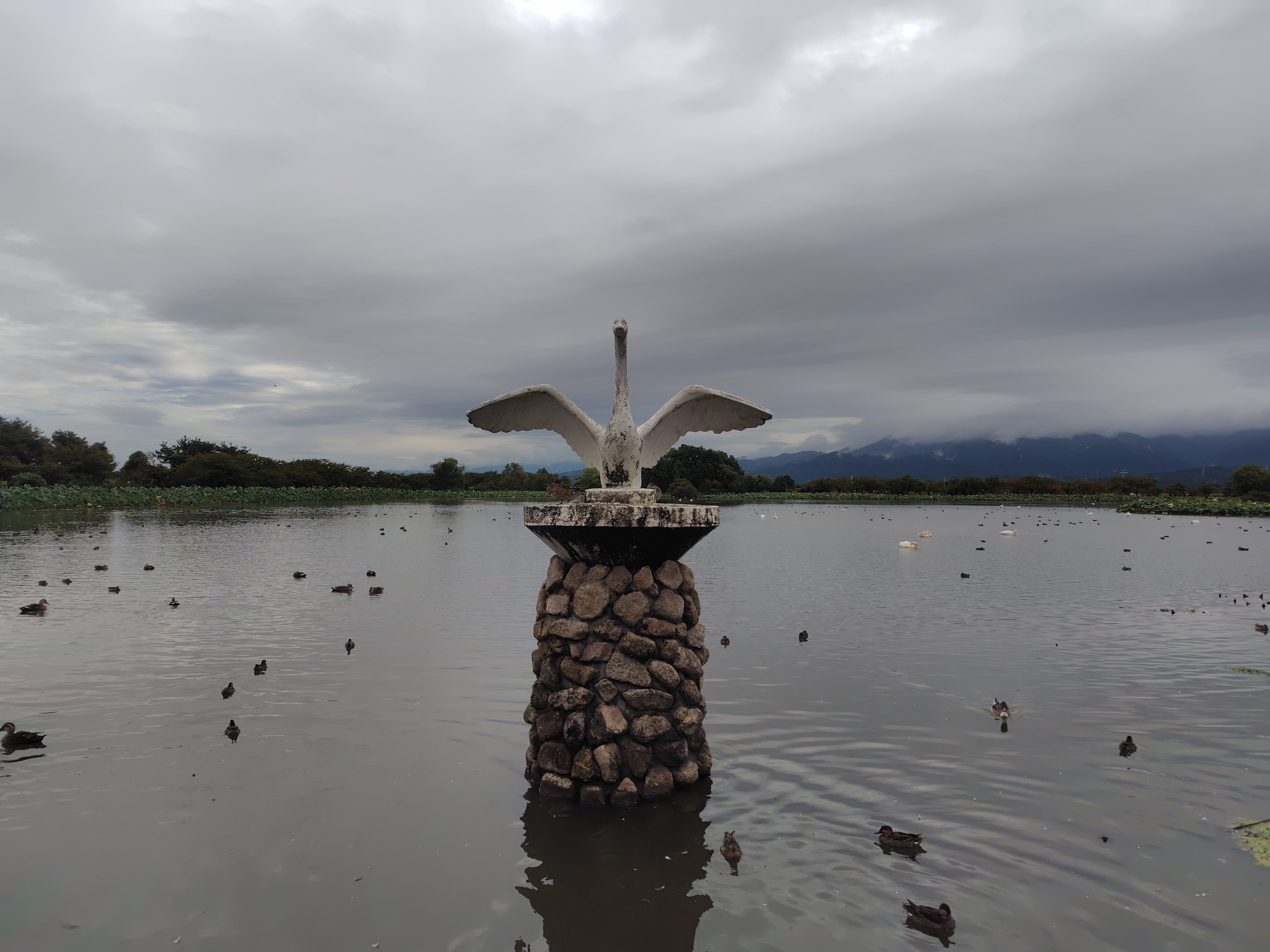 瓢湖と白鳥 瓢湖｜ロケ地検索｜新潟ロケーションガイド｜【公式】新潟県のおすすめ