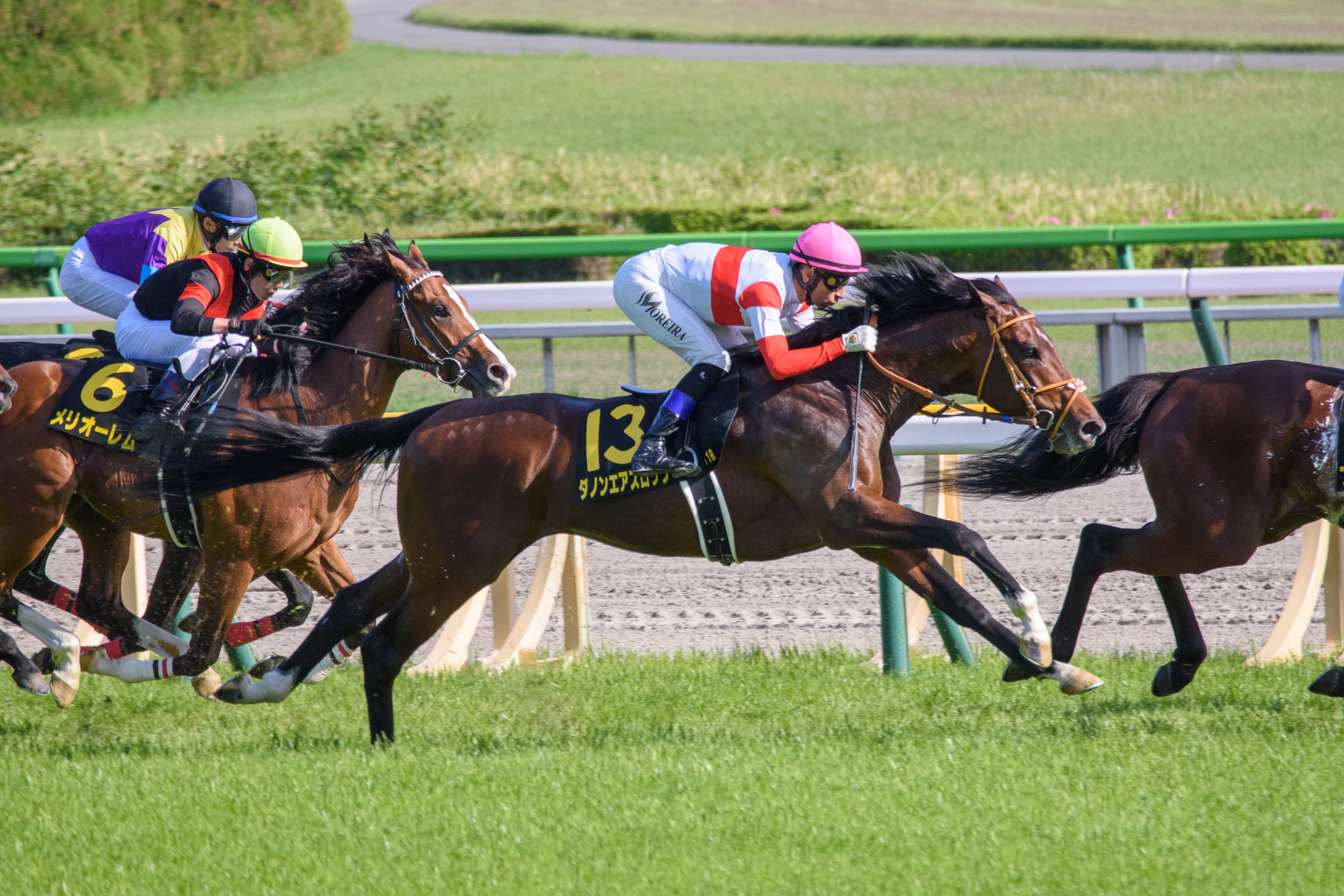 2 競馬を撮ろう【前編】｜newbiegrapher