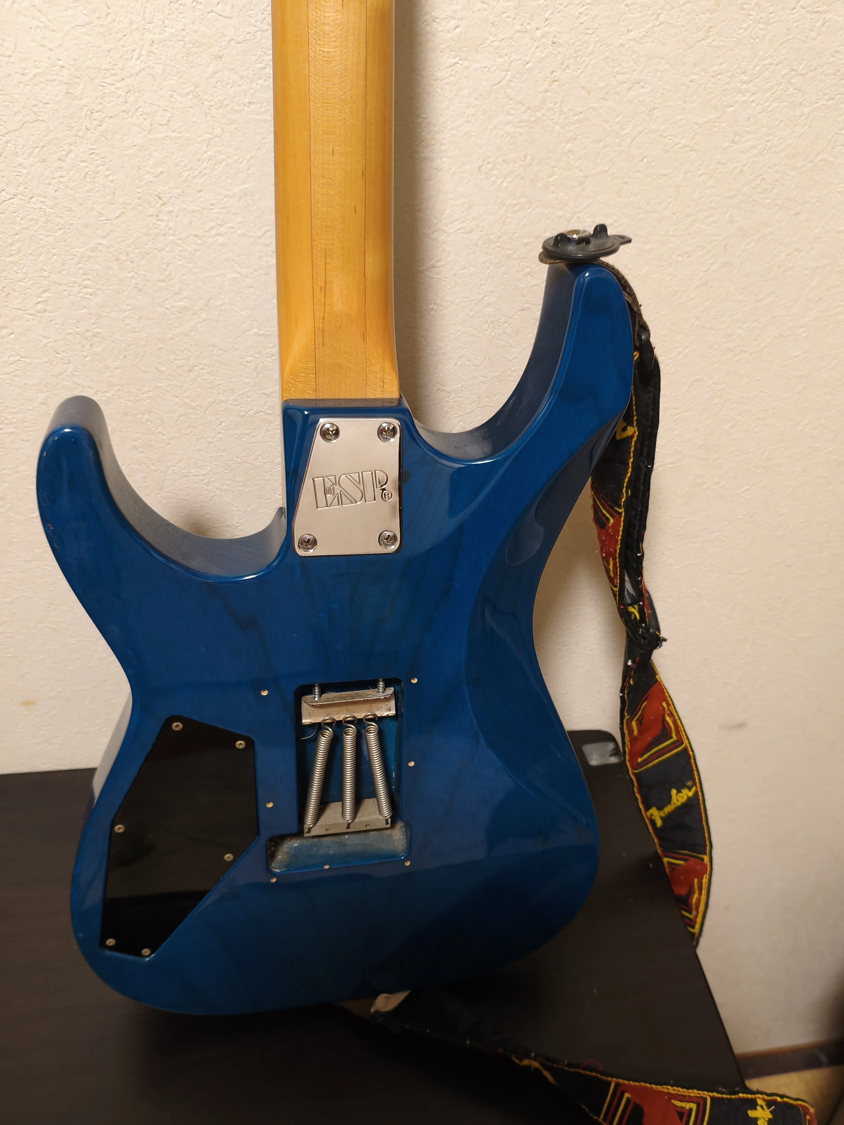 楽器紹介 第1弾 ESP M2 DX｜おつまみ ギター