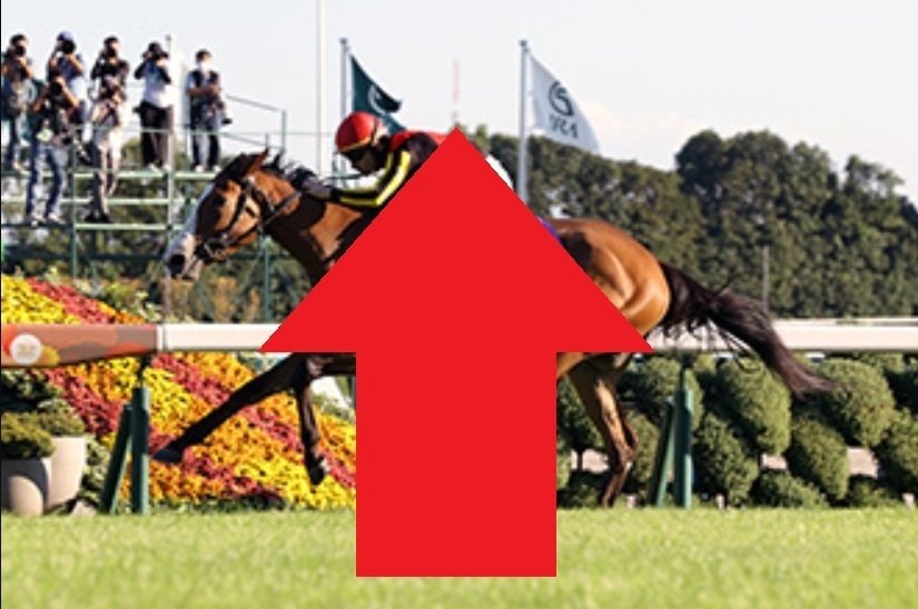 秋華賞2025 サイン馬券｜秋華賞の画像に写っている建造物が超激勝