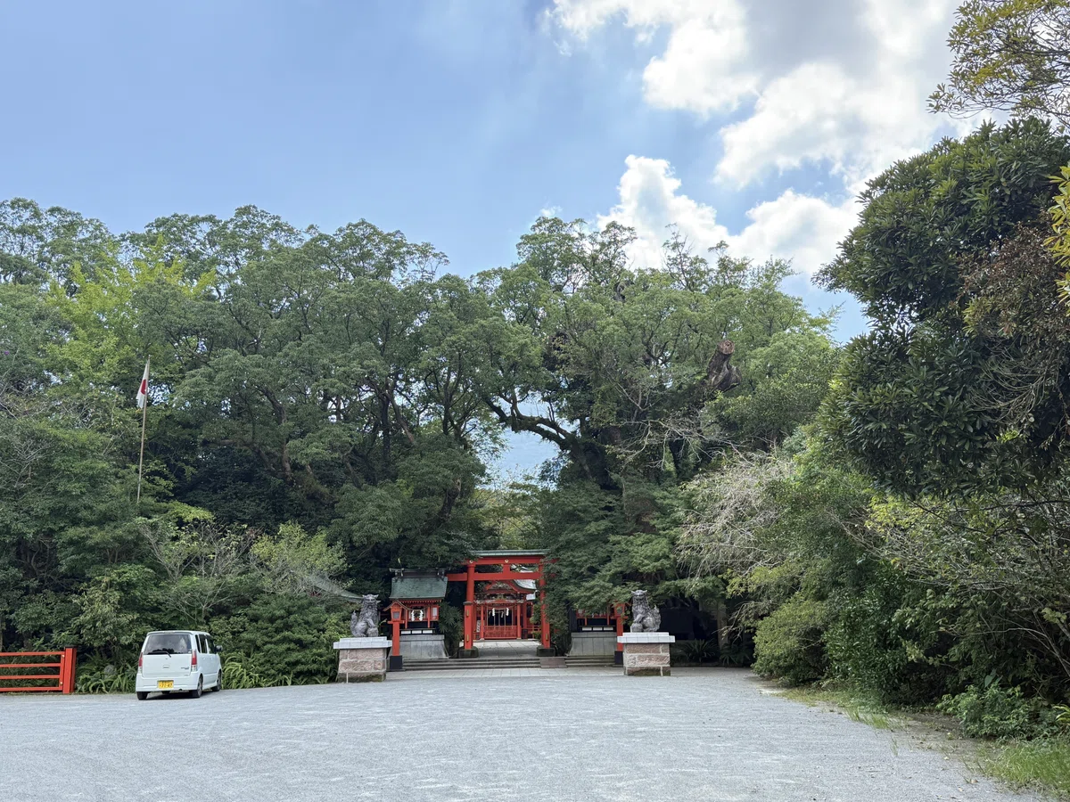 画像