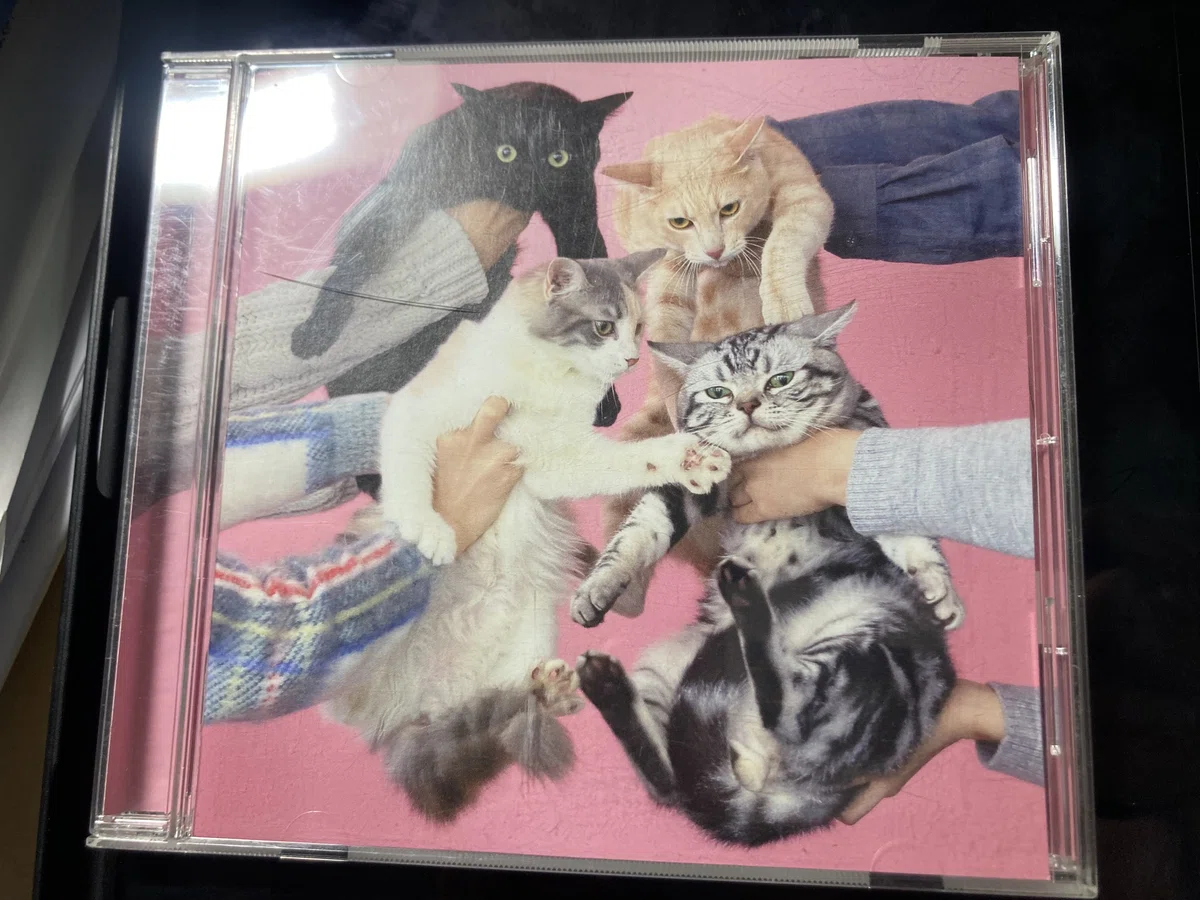 きのこ帝国のポップセンス大爆発 猫とアレルギー レビュー｜アルトラベラー