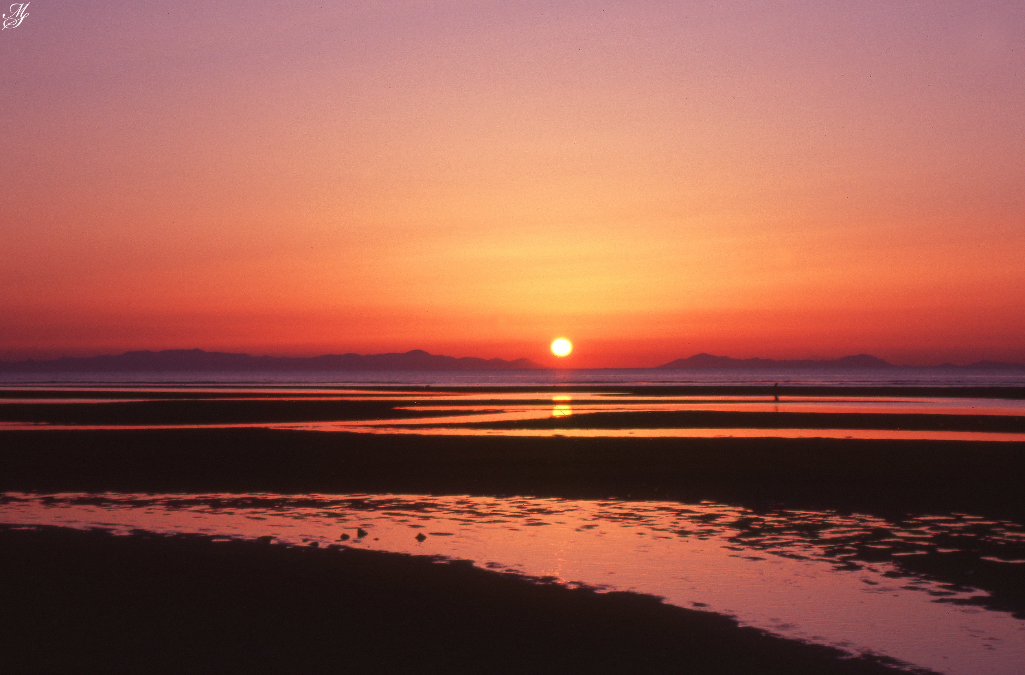 掛軸　藤井啓玉　「凪之夕日」 掛軸 藤井啓玉 「凪之夕日」