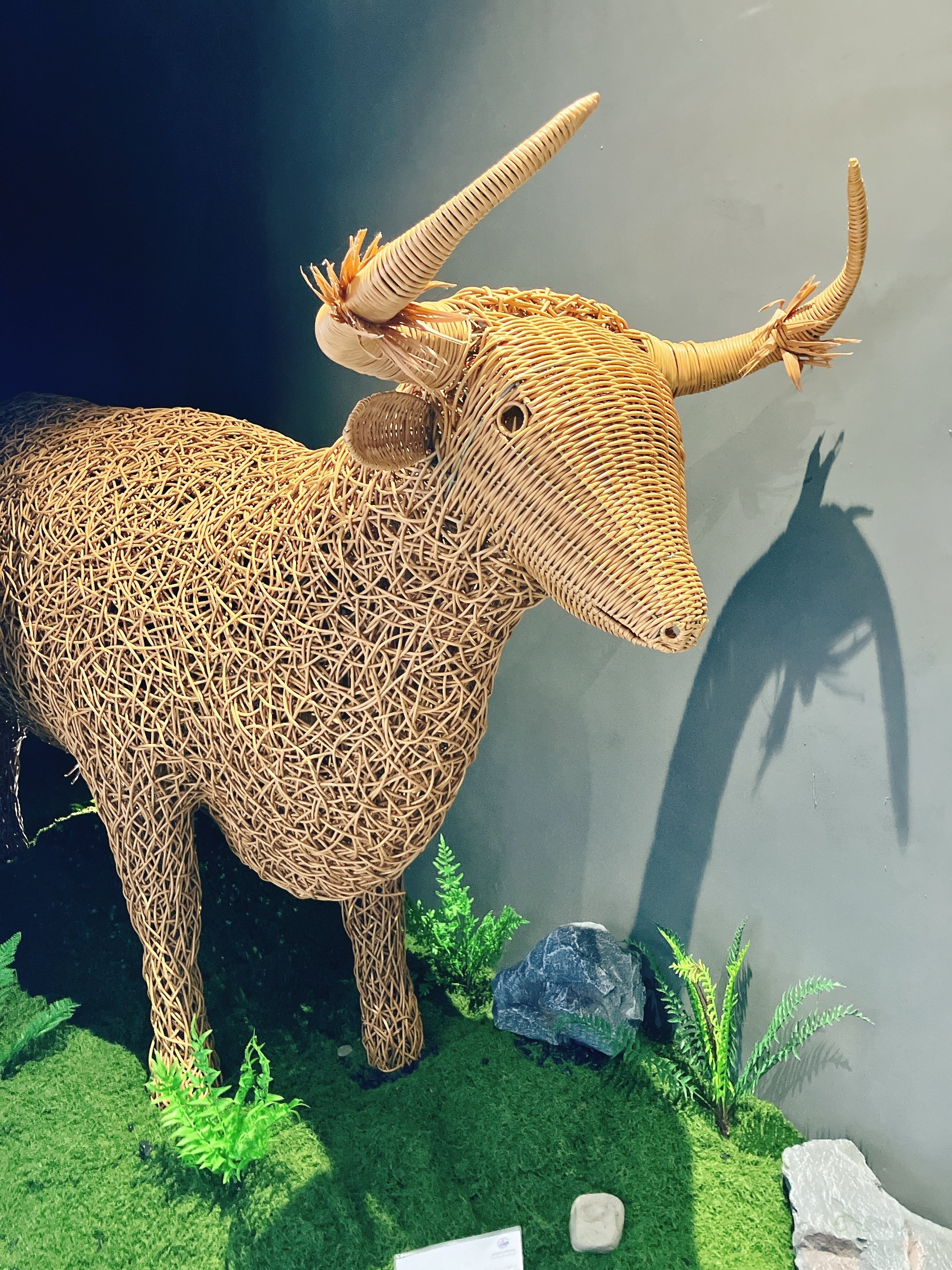 ある北陸民の見た大阪万博② カンボジア館およびトルコ館｜村崎柘榴