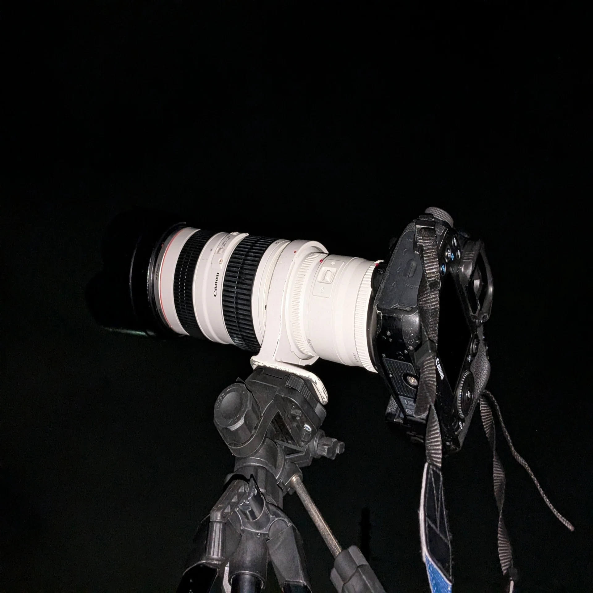 部員機材紹介#2(Canon EF70-200mm F2.8L USM)｜電気通信大学 写真研究部
