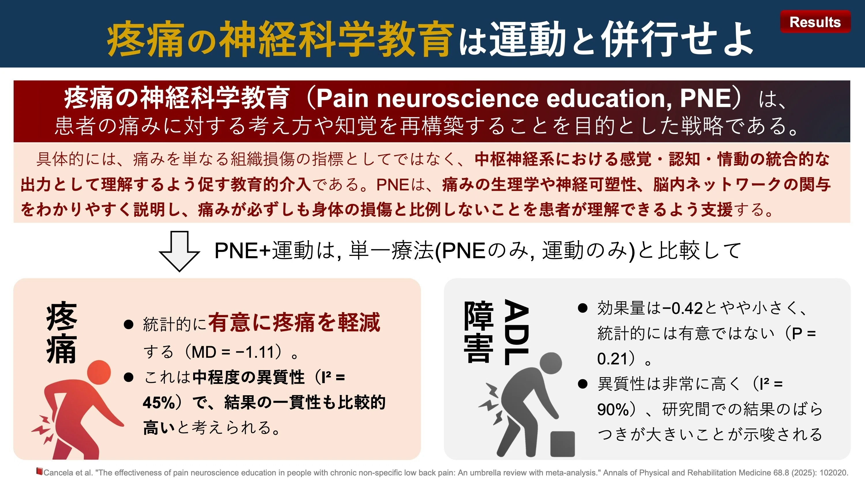 痛みの神経科学教育は運動と併行せよ｜Super Human | 理学療法士／保健