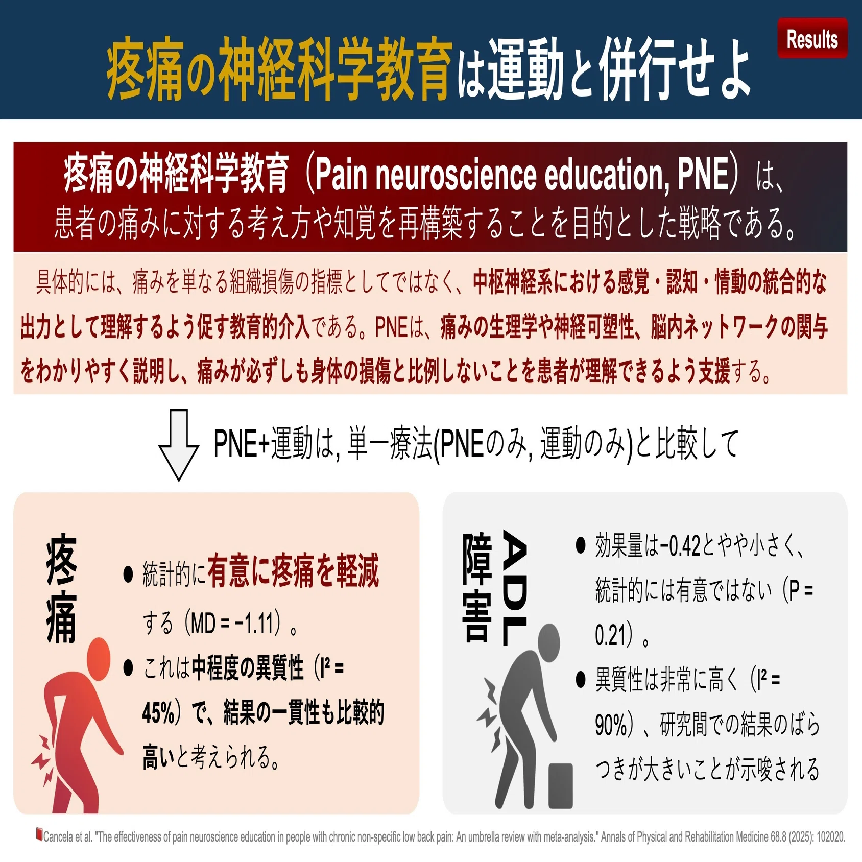 痛みの神経科学教育は運動と併行せよ｜Super Human | 理学療法士／保健