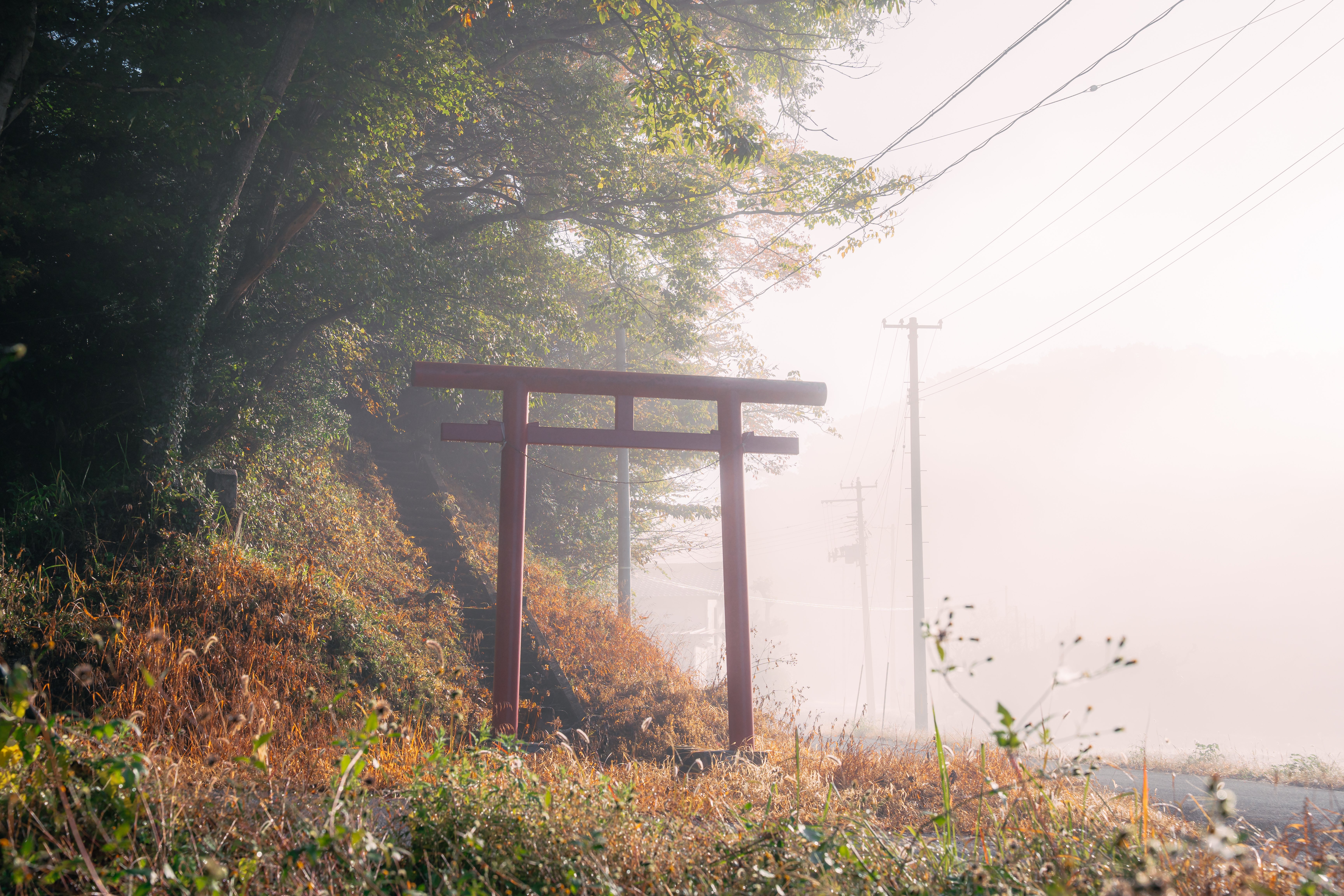 写真編集への考え方を書いてみた｜zookomi0124