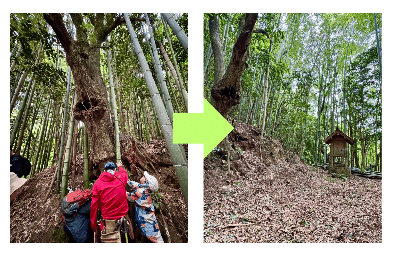 写真：Code for Ground撮影（2025年6月）