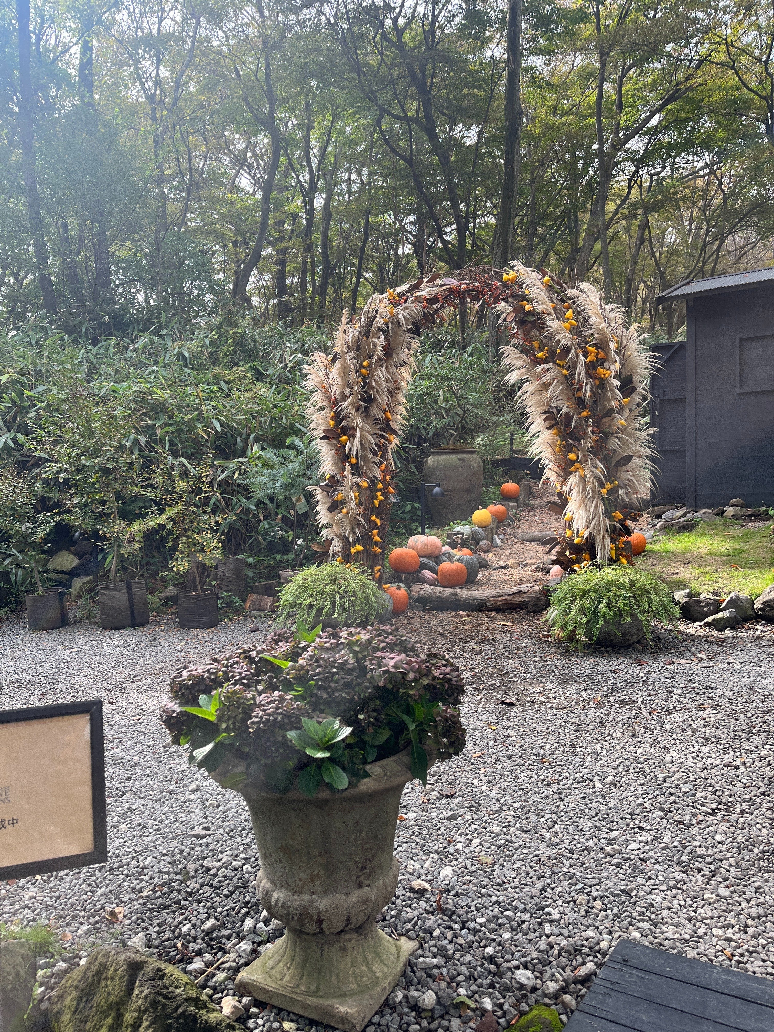 秋の気配― ニコライ・バーグマン箱根で感じたこと ―｜komachi