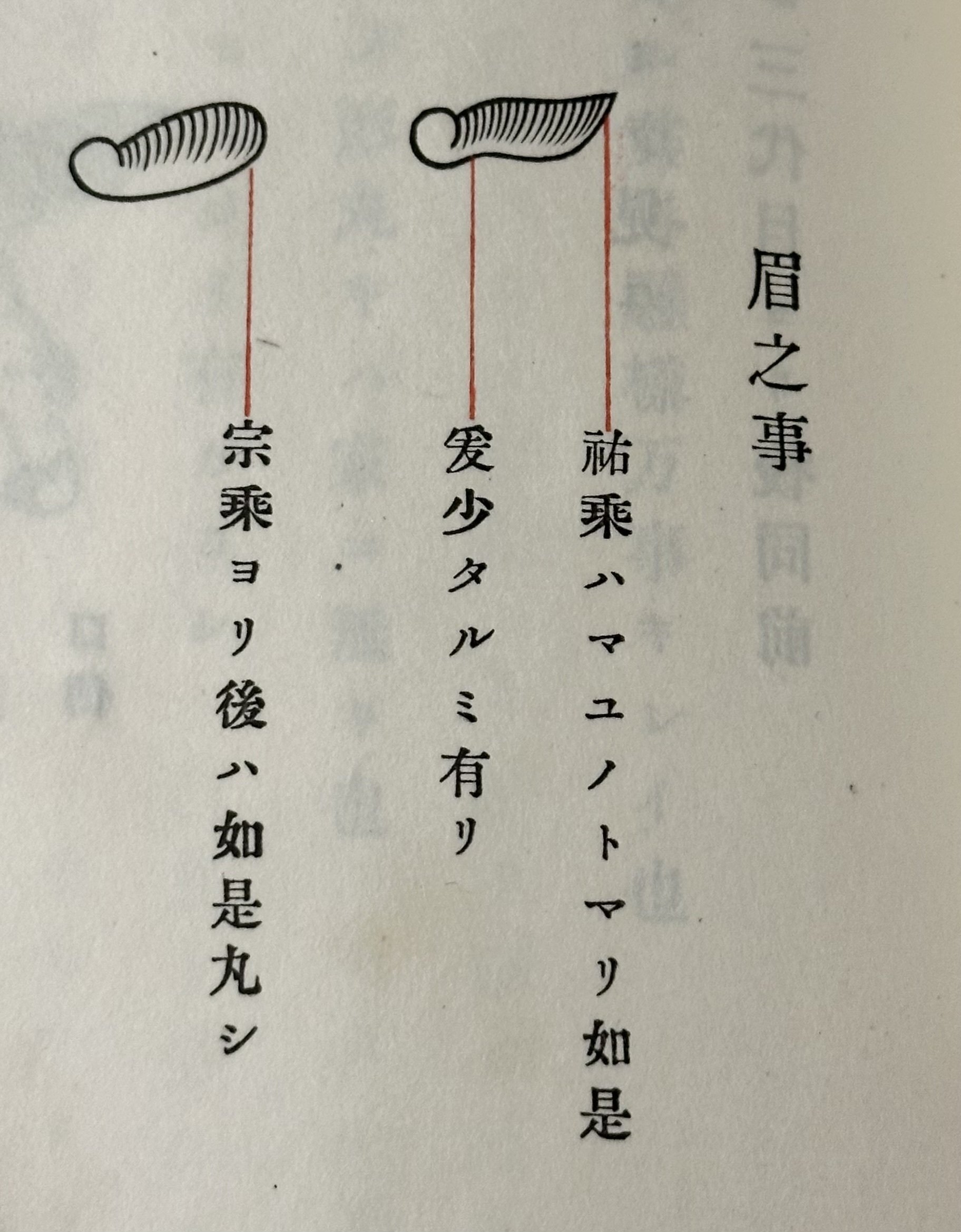 四代光乗① 三匹獅子金目貫｜刀箱師の日本刀ブログ 中村圭佑