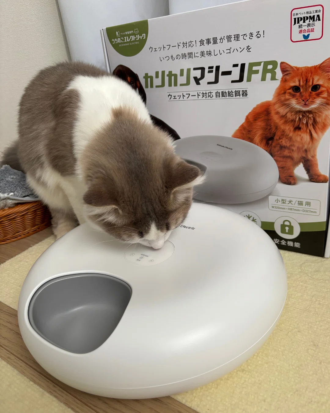 猫給餌機 カリカリ マシーン 転倒 防止 自動給餌器レビュー カリカリ