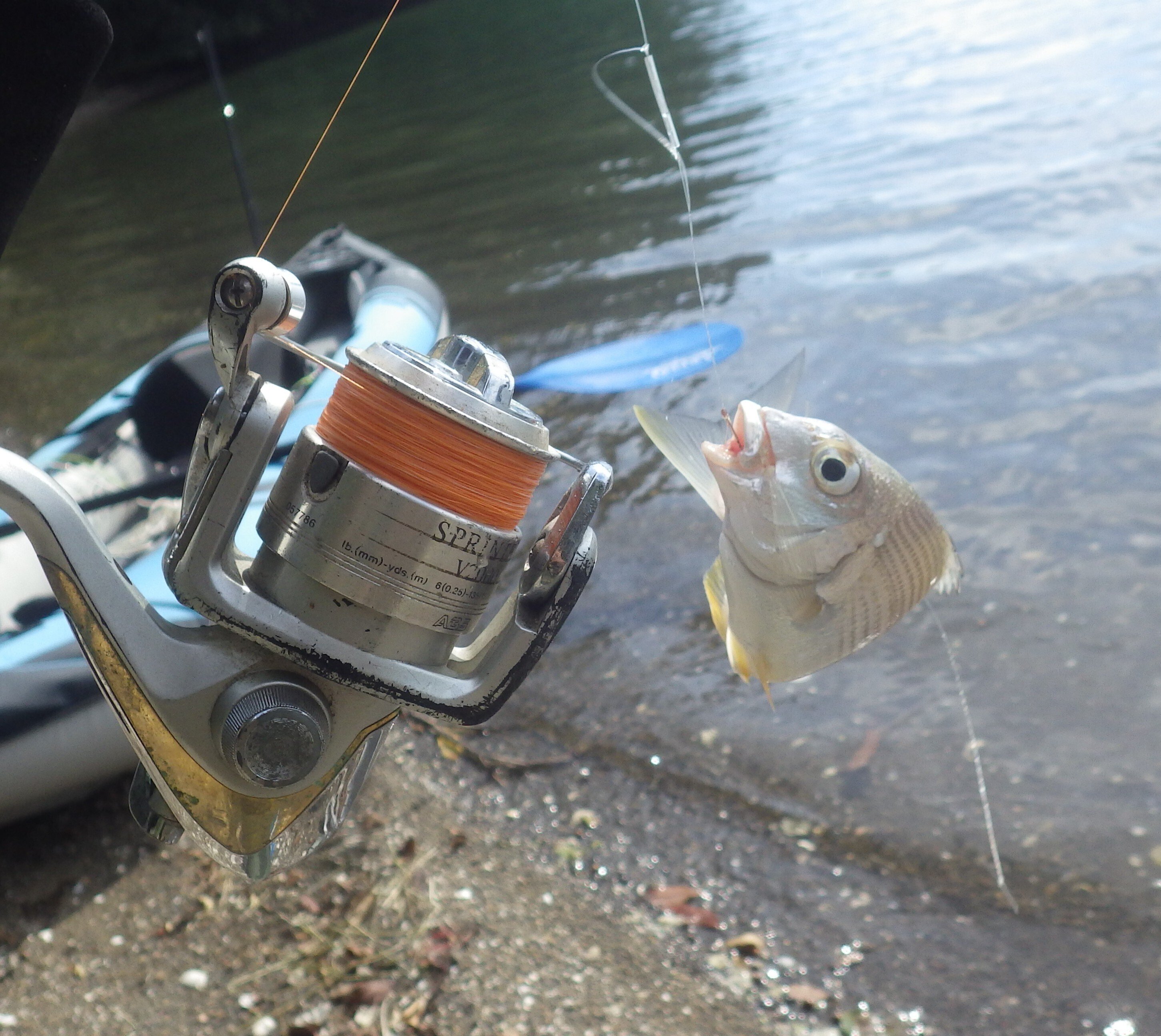 やりきれない残暑の10月。シーカヤックで釣りに出た｜中山道雄