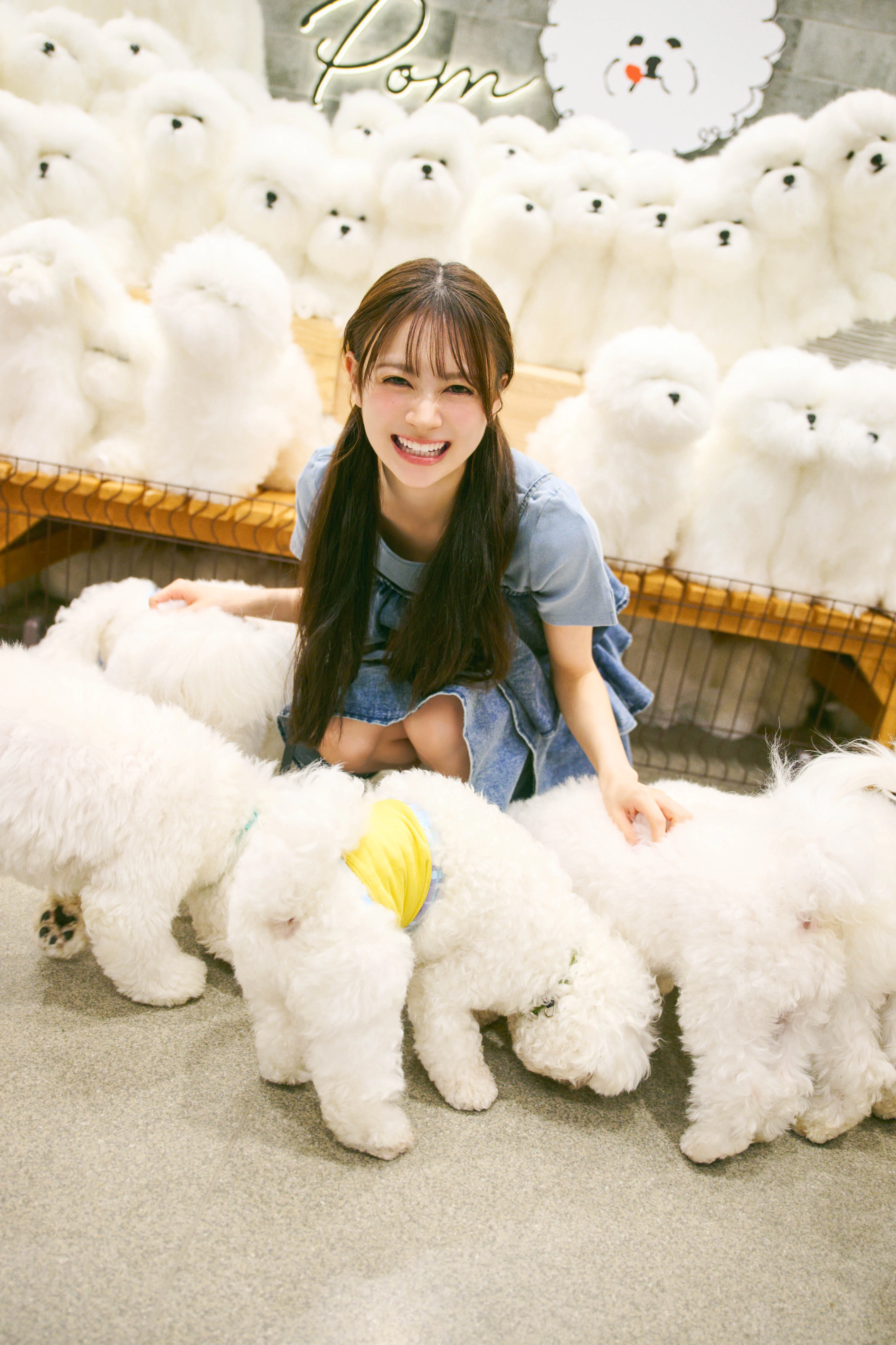 เปิดจอง AKB48 Ito Momoka 1st Photo Book 「Hyakka Zukan」｜artozaka46