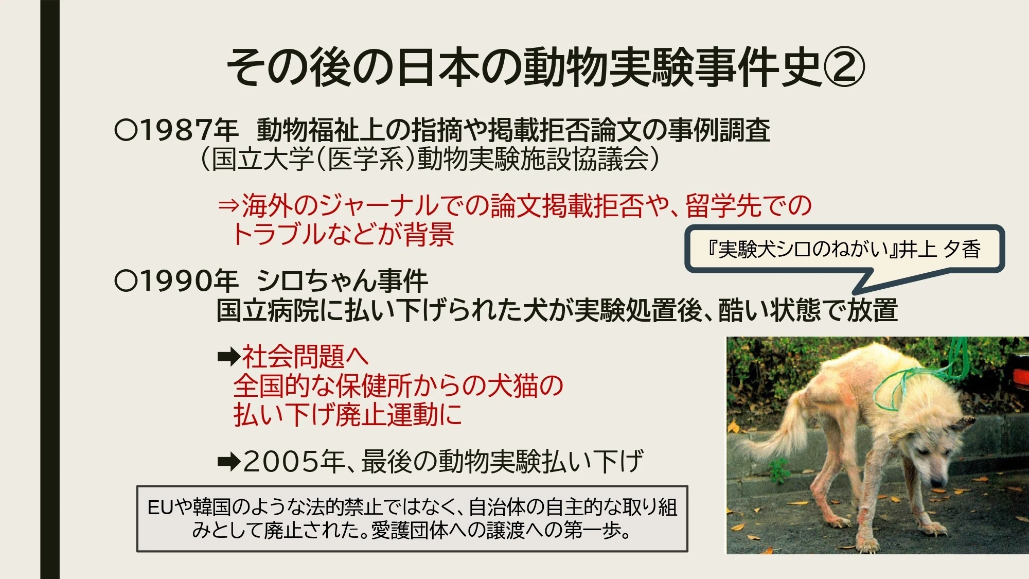 ざっくり深掘り！ 動物愛護法入門①動物を守る法律のこれまでと