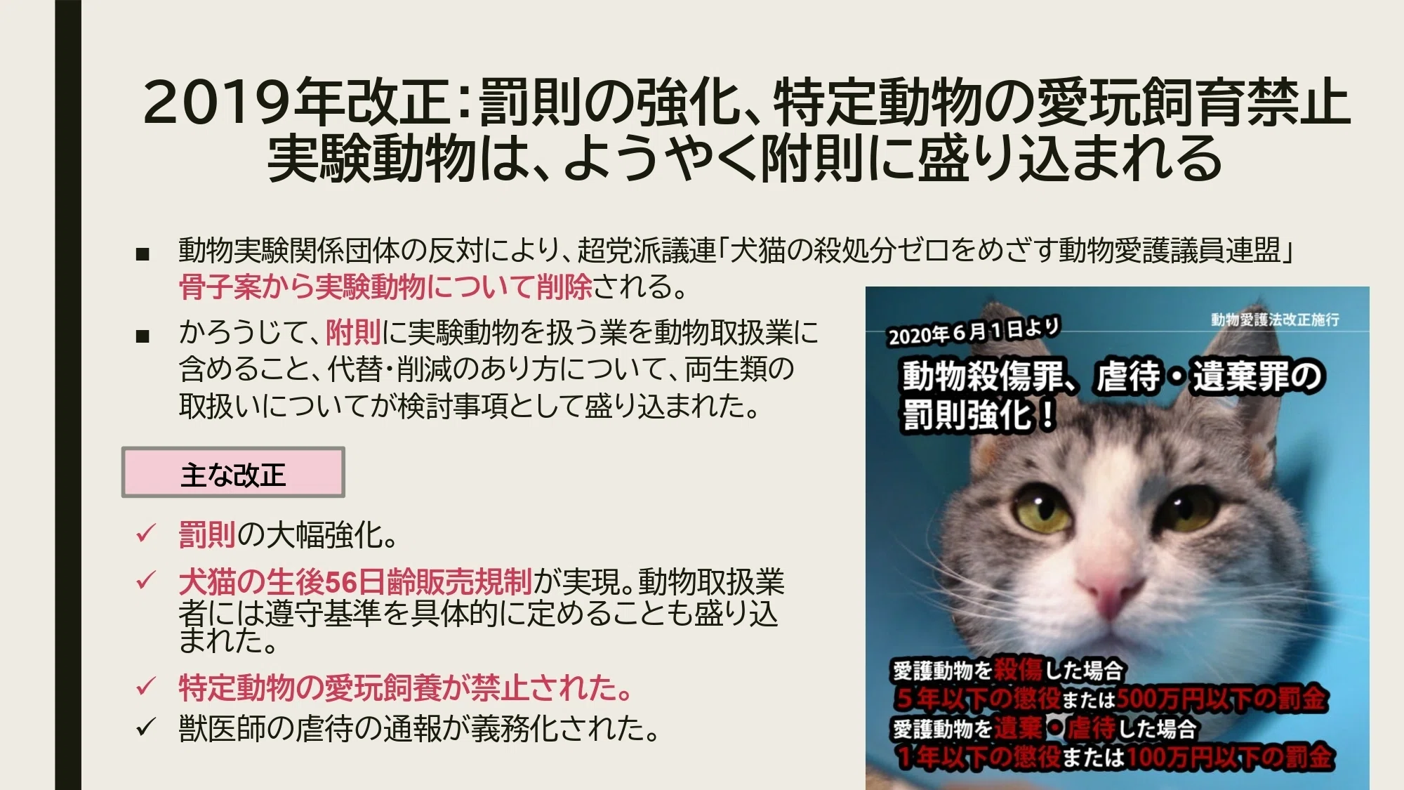ざっくり深掘り！ 動物愛護法入門①動物を守る法律のこれまでと