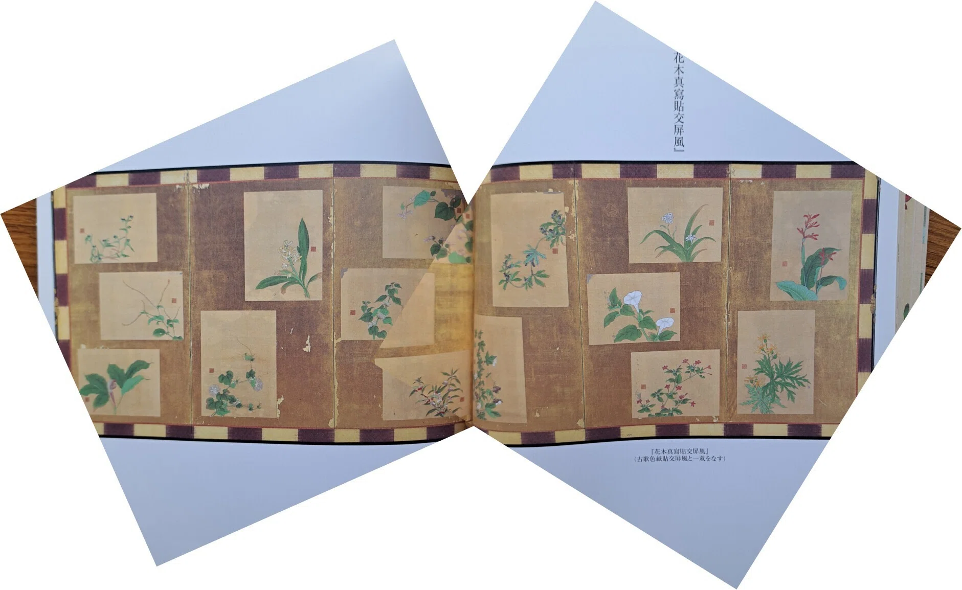 植物画とは何か＞（4）ー2：「花木真寫」と《花木真寫貼交屏風》の