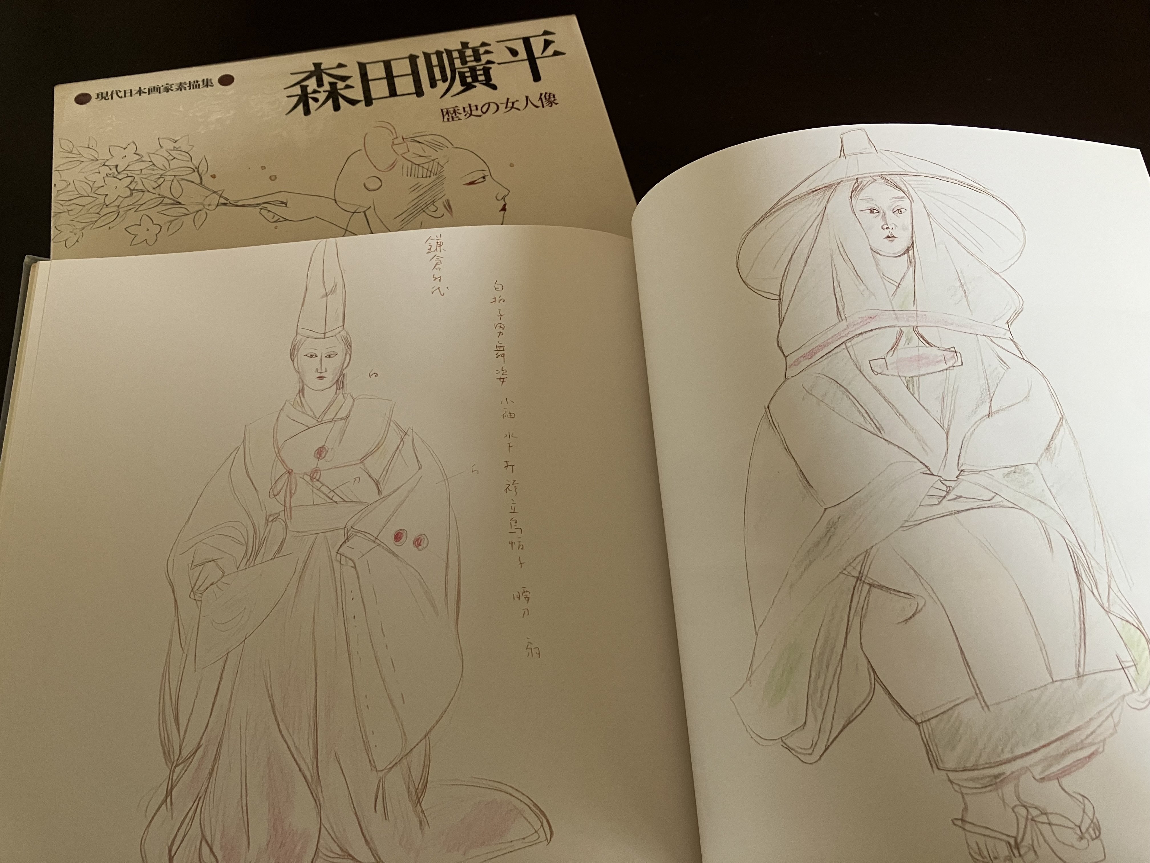 現代日本画素描集を旅する｜きまだへくこ