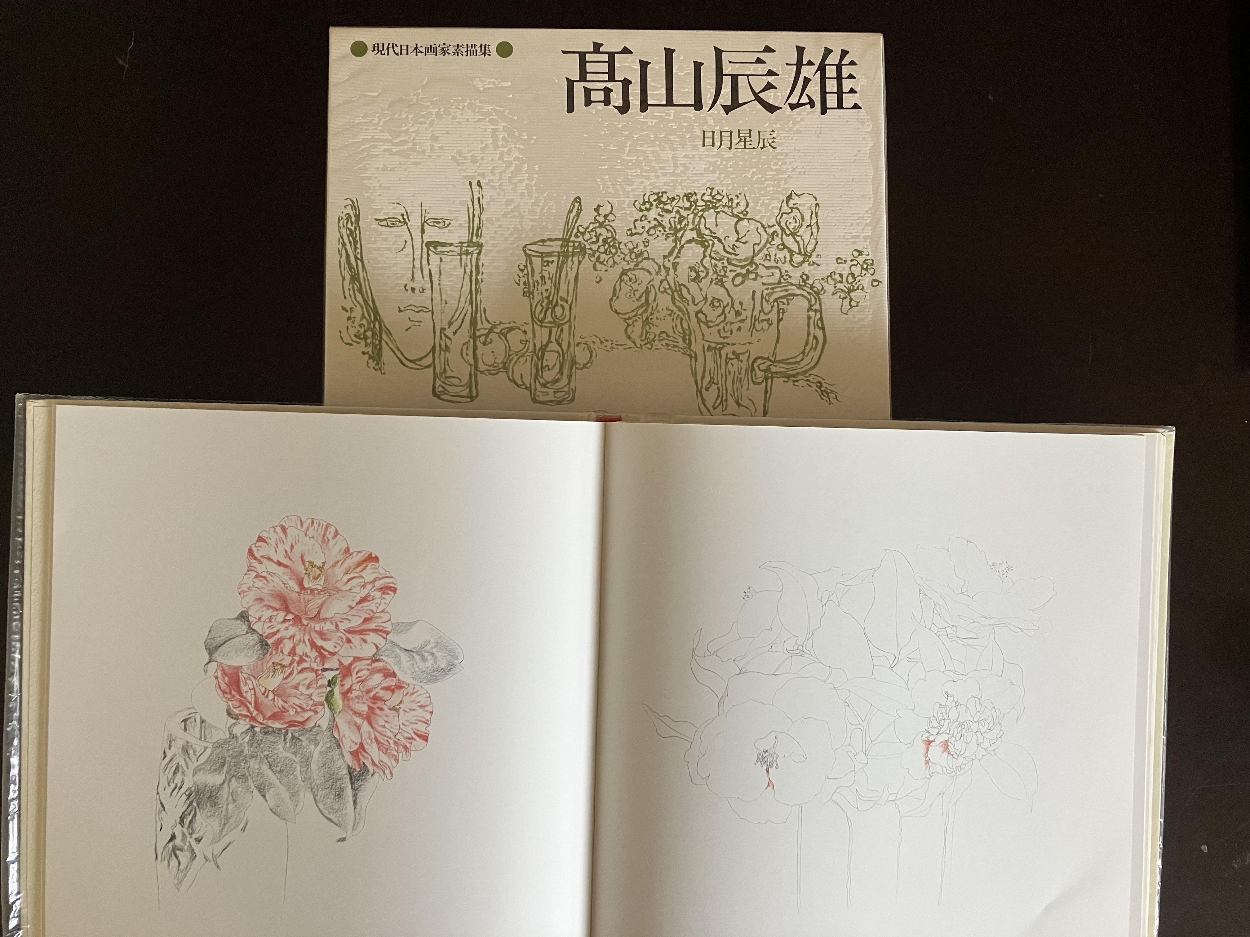 平山郁夫素描集　悠久の旅 Yahoo!オークション -「平山郁夫 素描集」の落札相場・落札価格