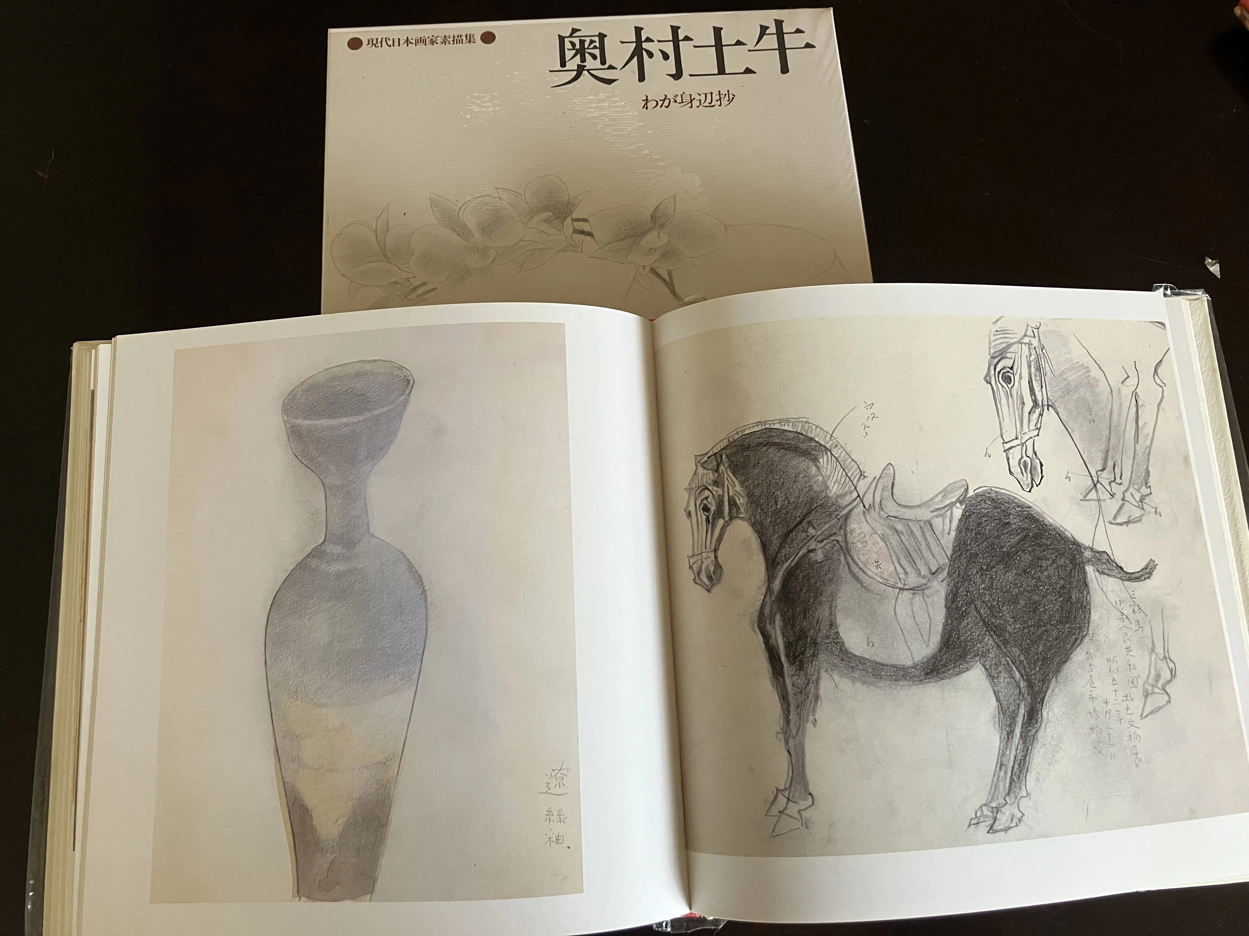 現代日本画素描集を旅する｜きまだへくこ