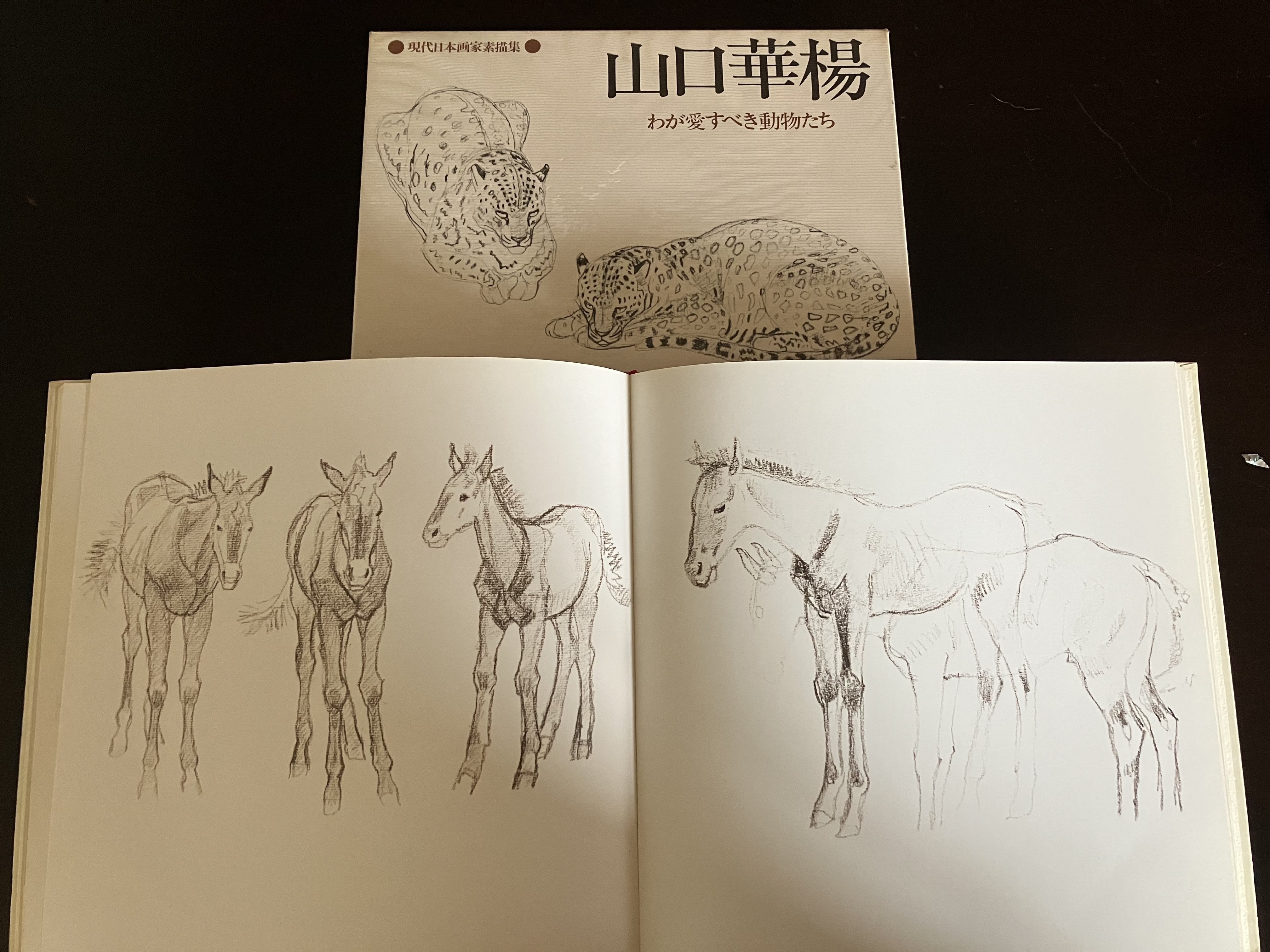 現代日本画素描集を旅する｜きまだへくこ