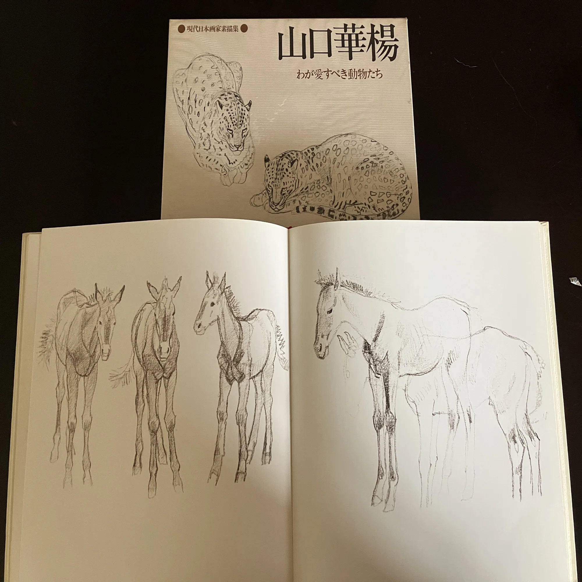 現代日本画素描集を旅する｜きまだへくこ