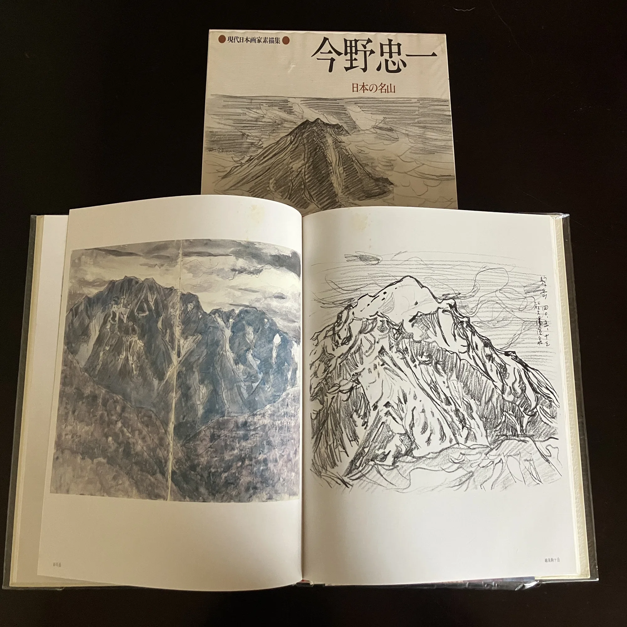 現代日本画素描集を旅する｜きまだへくこ