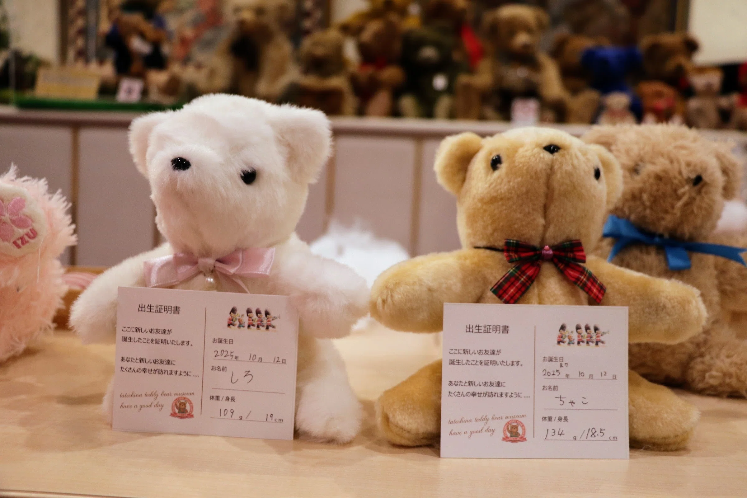 蓼科テディベア美術館】ぬいぐるみ綿詰め体験レポ｜親子でくまを作り