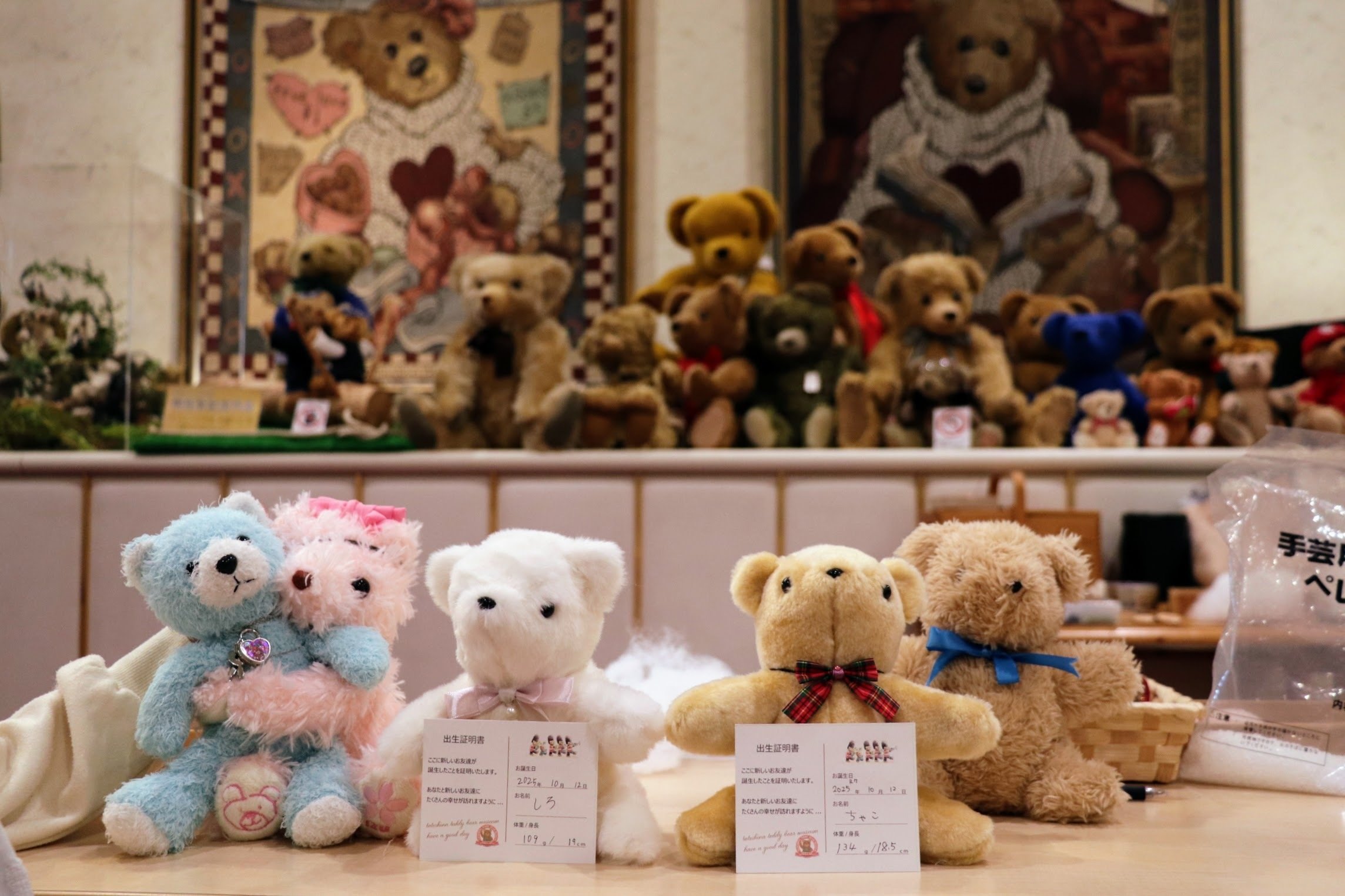 蓼科テディベア美術館】ぬいぐるみ綿詰め体験レポ｜親子でくまを作り