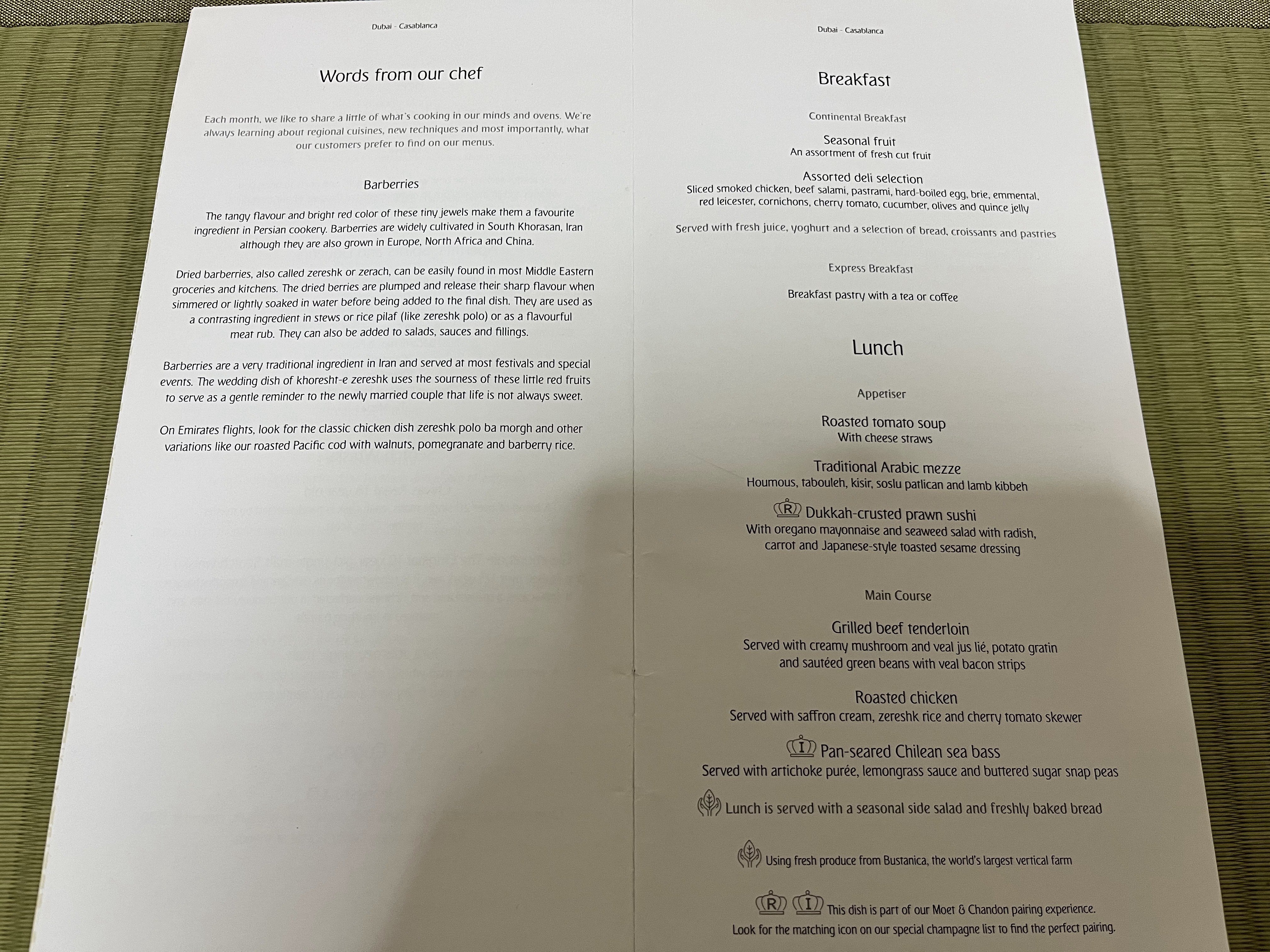 飛行機】✈️エミレーツ航空ビジネスクラス搭乗記｜成田～ドバイ