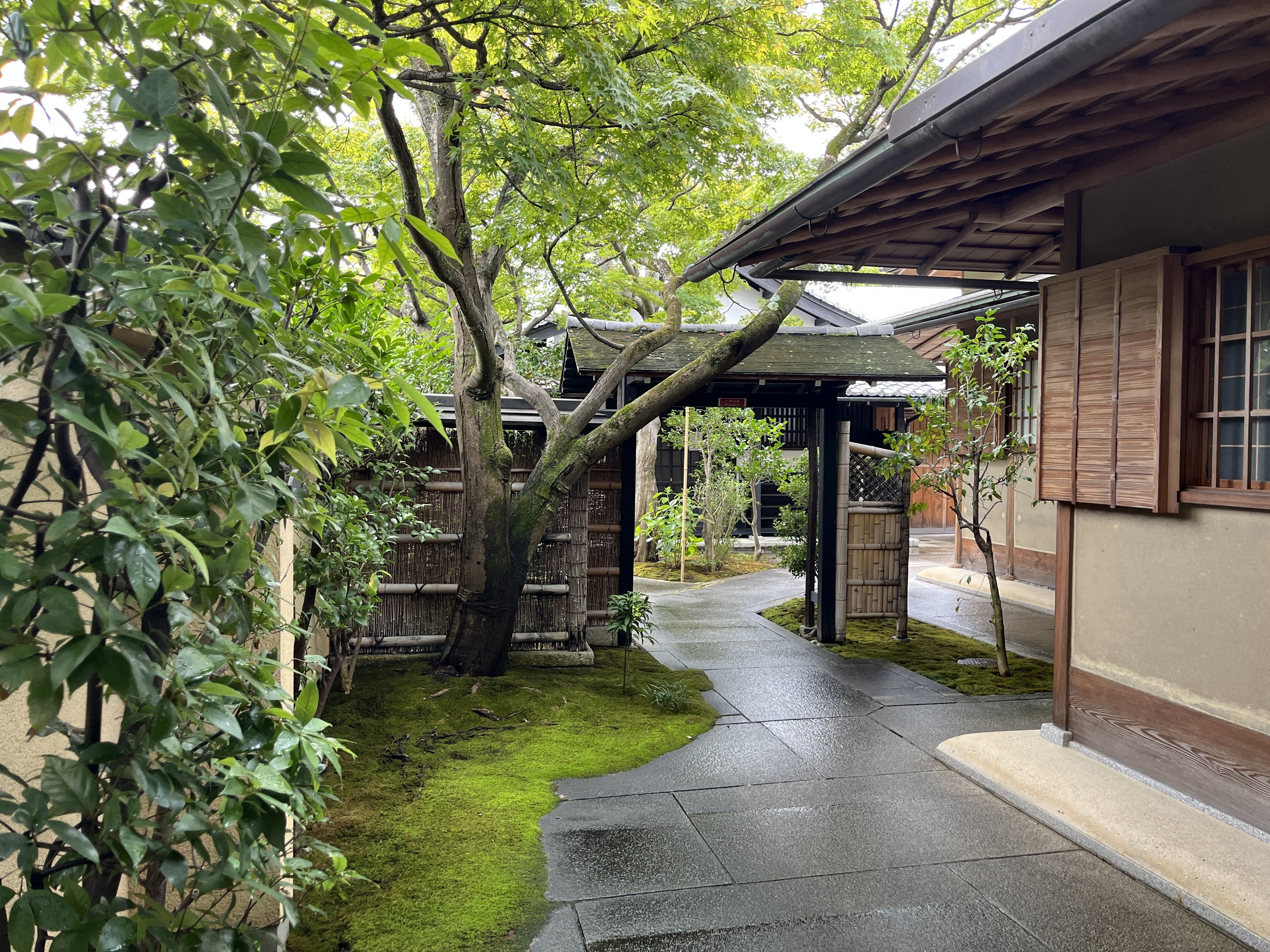 167 外国人の方が知っている禅｜堀尾憲司 Kenji Horio