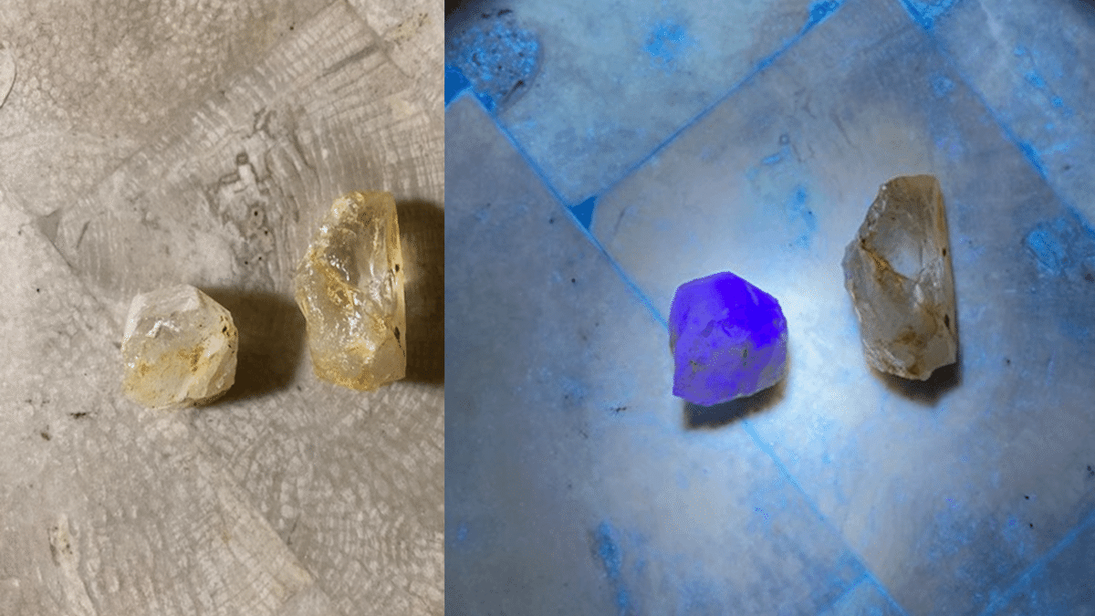 光る石、幻のヒスイ ─ 鉱物採集の旅 ─｜つるまる@つるこ